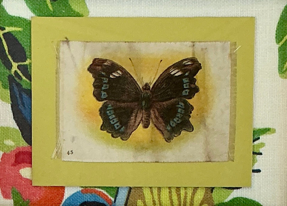 Pair of Antique Butterfly Tobacco Silks on Scalamandre Fabric in Gold Frames