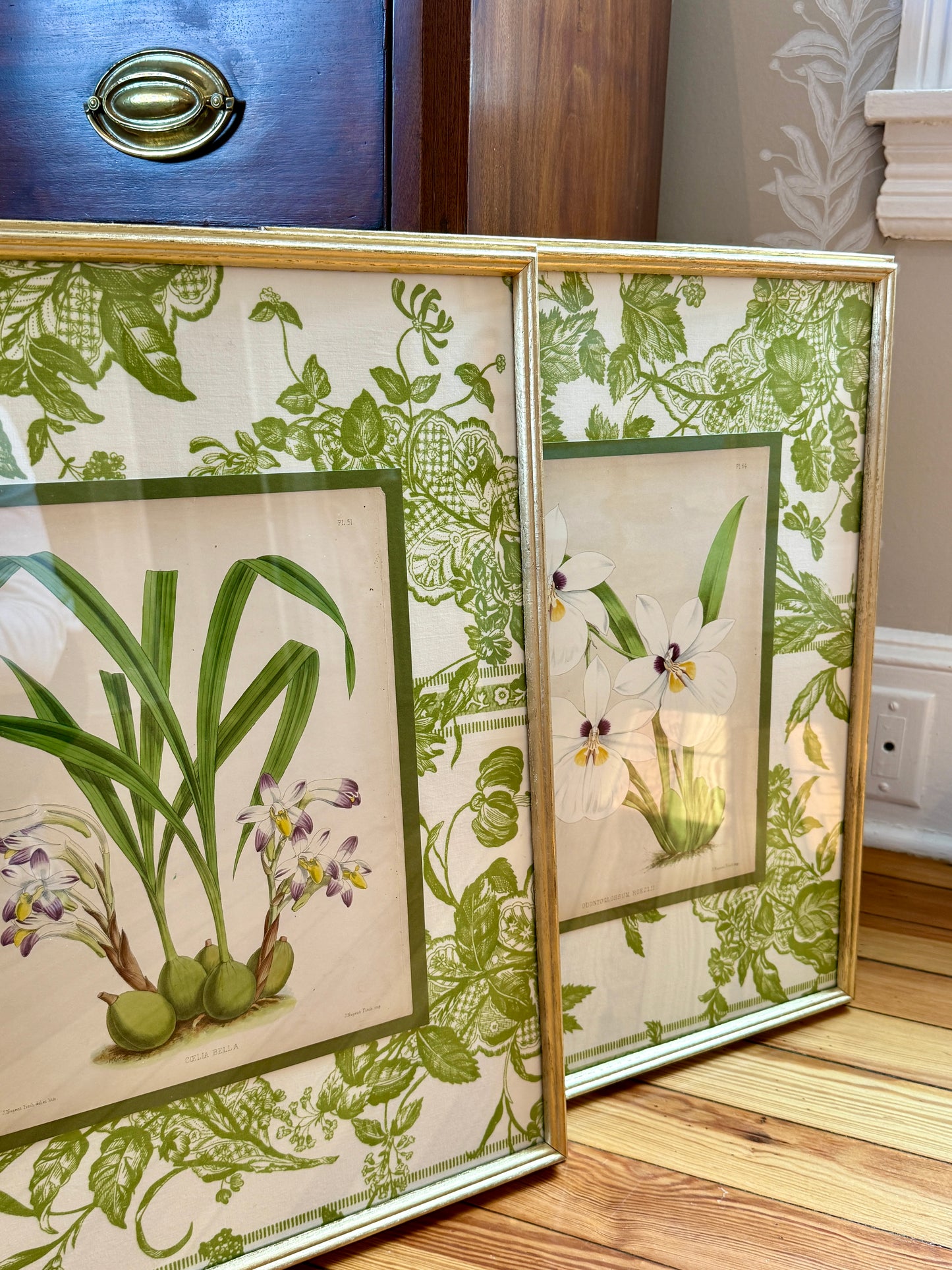 Pair of 19th Century Orchid Hand Colored Lithographs on Vintage Schumacher Green Toile in Gold Frames