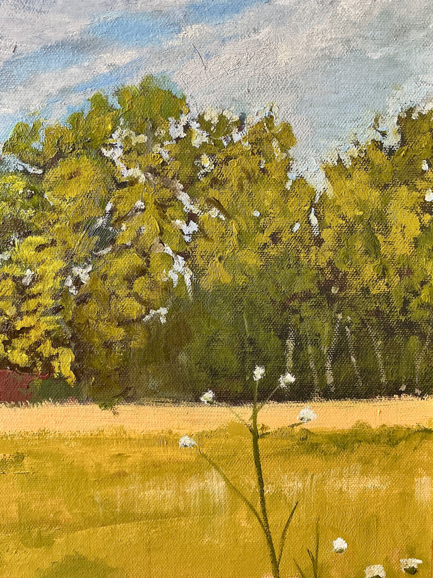 Martin Scherer Summer Barn Landscape Oil Painting in Gold Frame