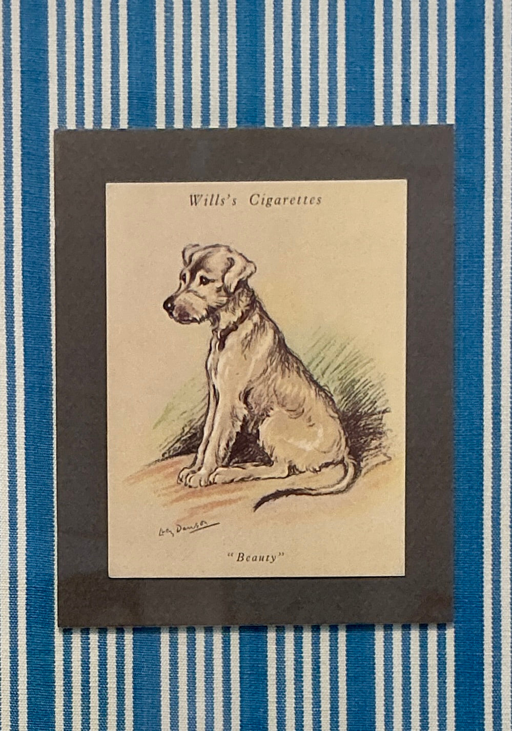 Set of 3 1930s Tobacco Cards With Dogs on Blue Ticking Stripes in Gold Frames