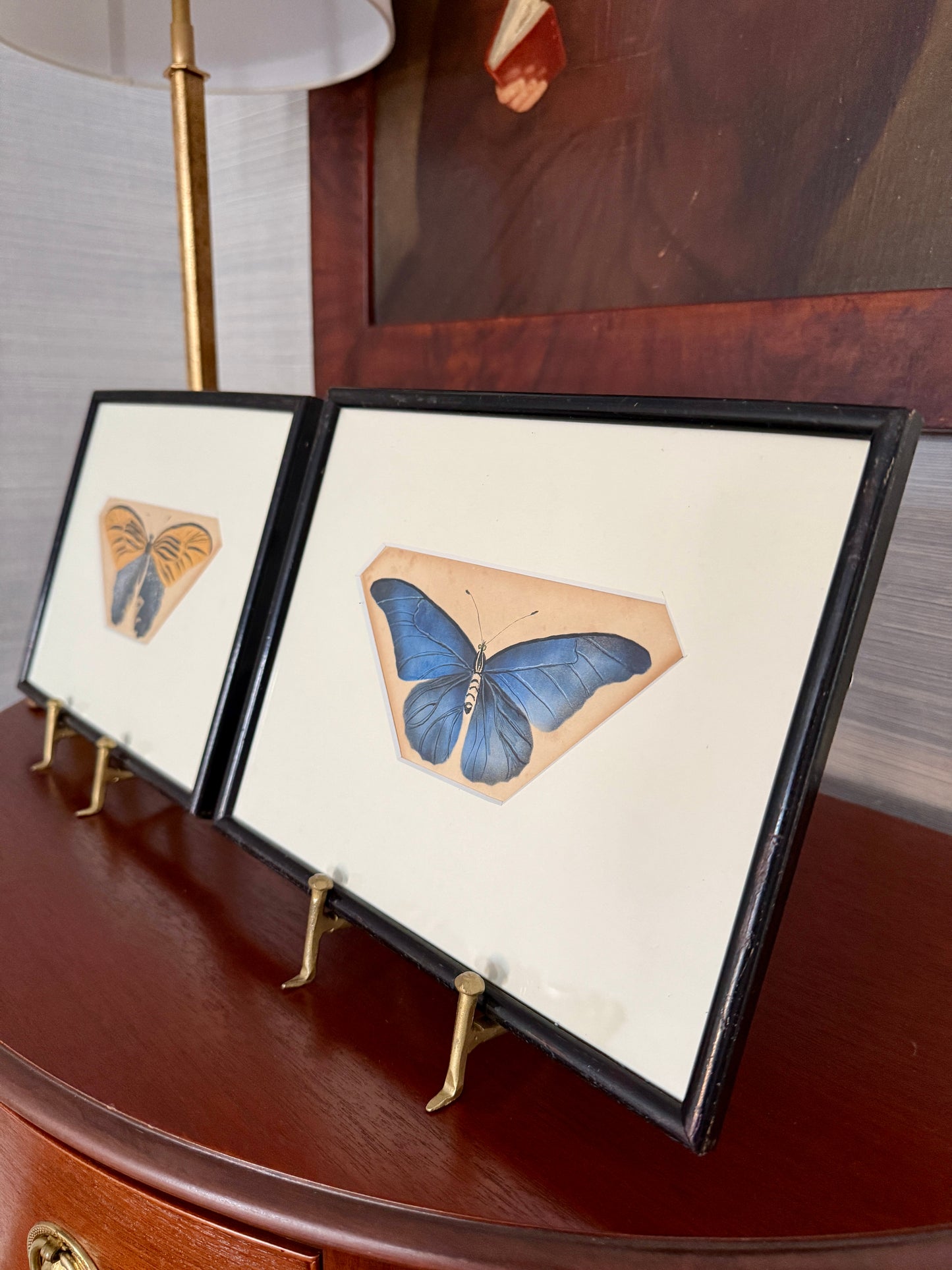 Pair of 19th Century Intricate Watercolor Butterfly Portraits in Black Frames