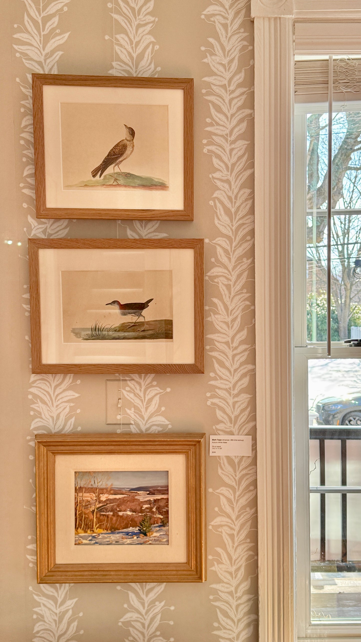 19th Century Shore Bird Watercolor Bird Portrait in Natural Wood Frame