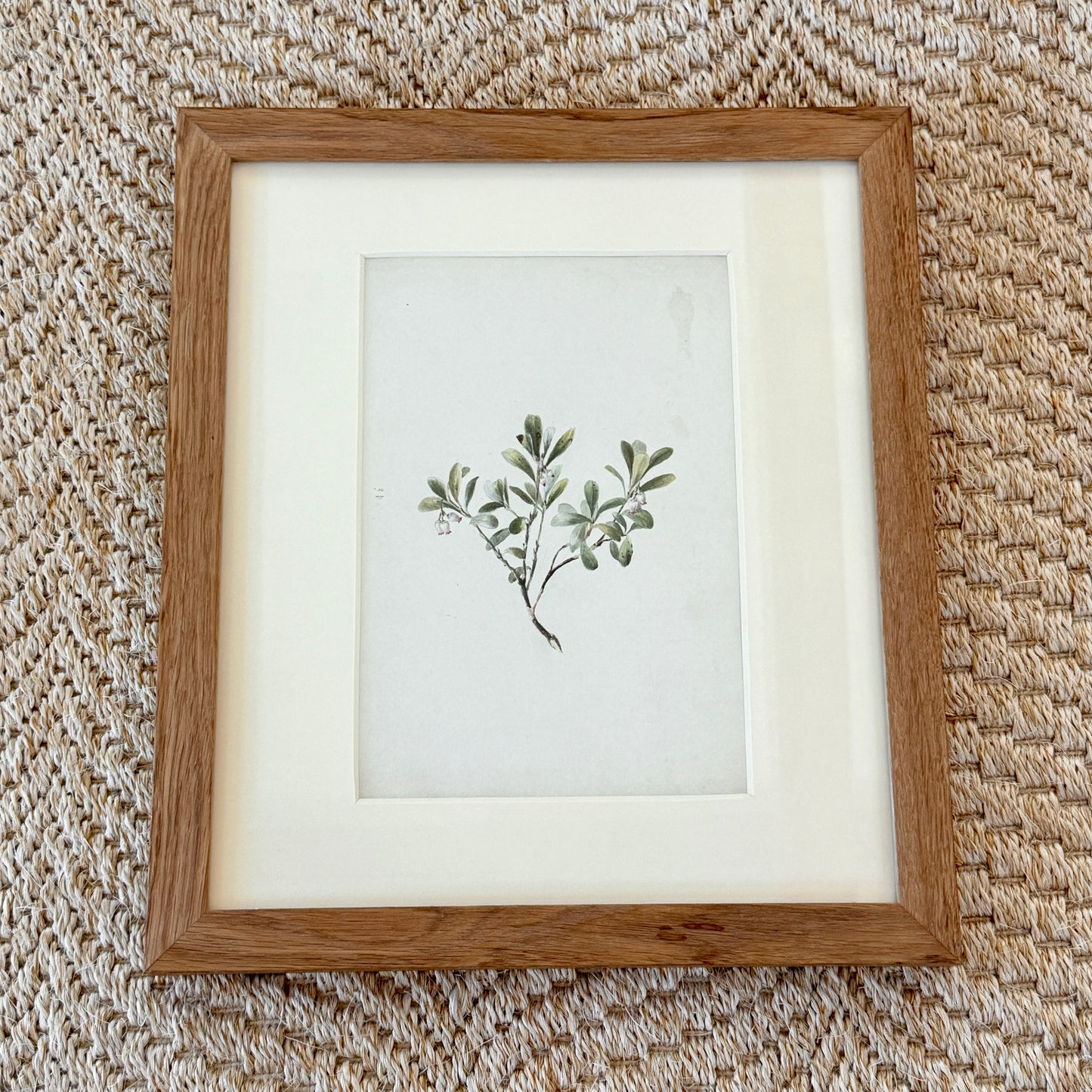 Late 19th Century Botanical Floral Watercolor Painting in Wood Frame