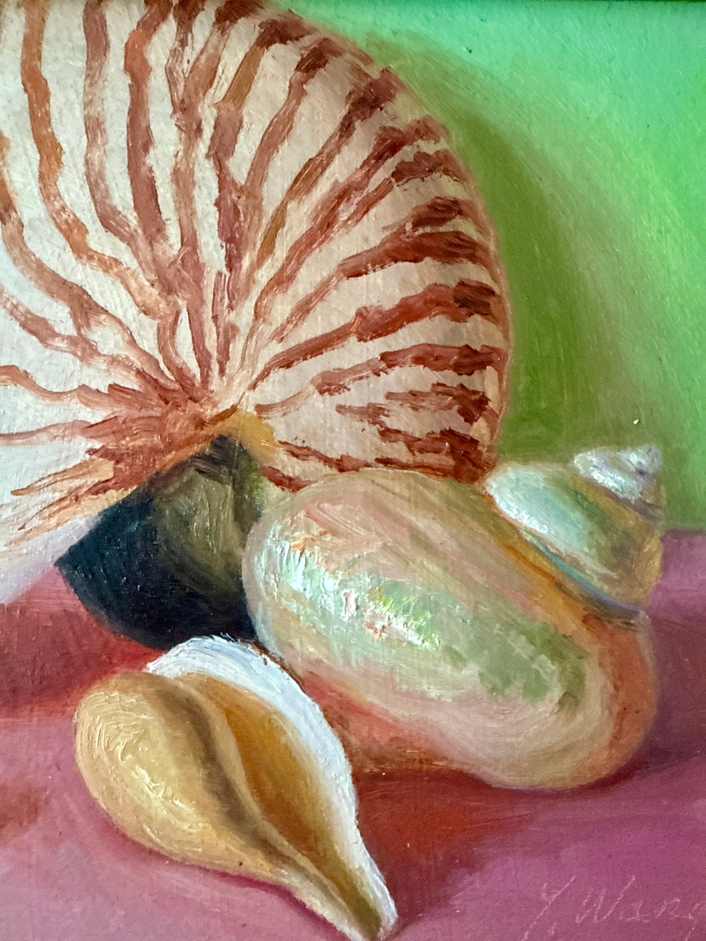 Seashell Collection on Pink Realist Still Life Oil Painting in Gold Frame