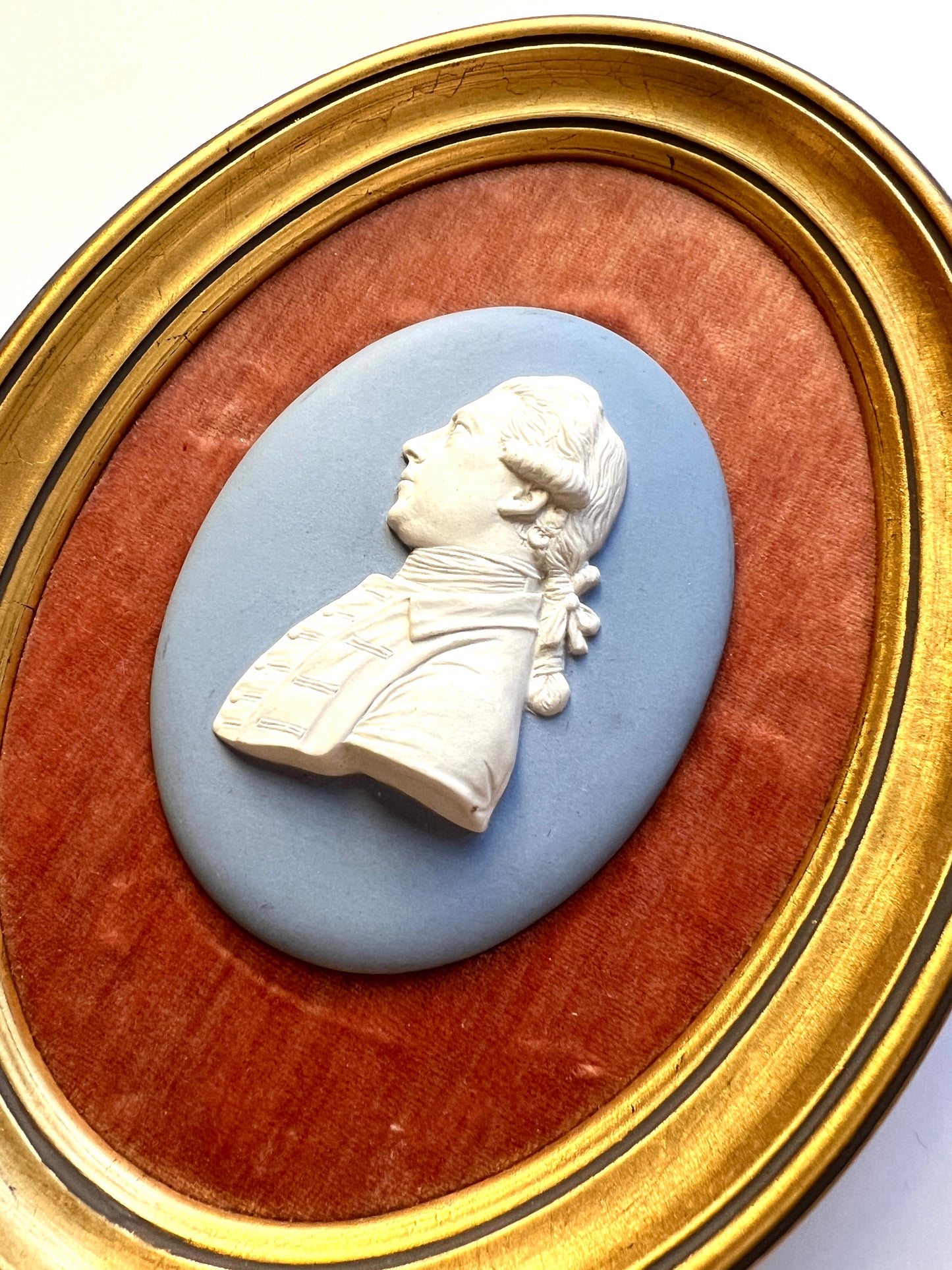 Wedgwood Jasperware Portrait Medallion of Sir Joseph Banks Mounted on Coral Velvet in Gold Frame