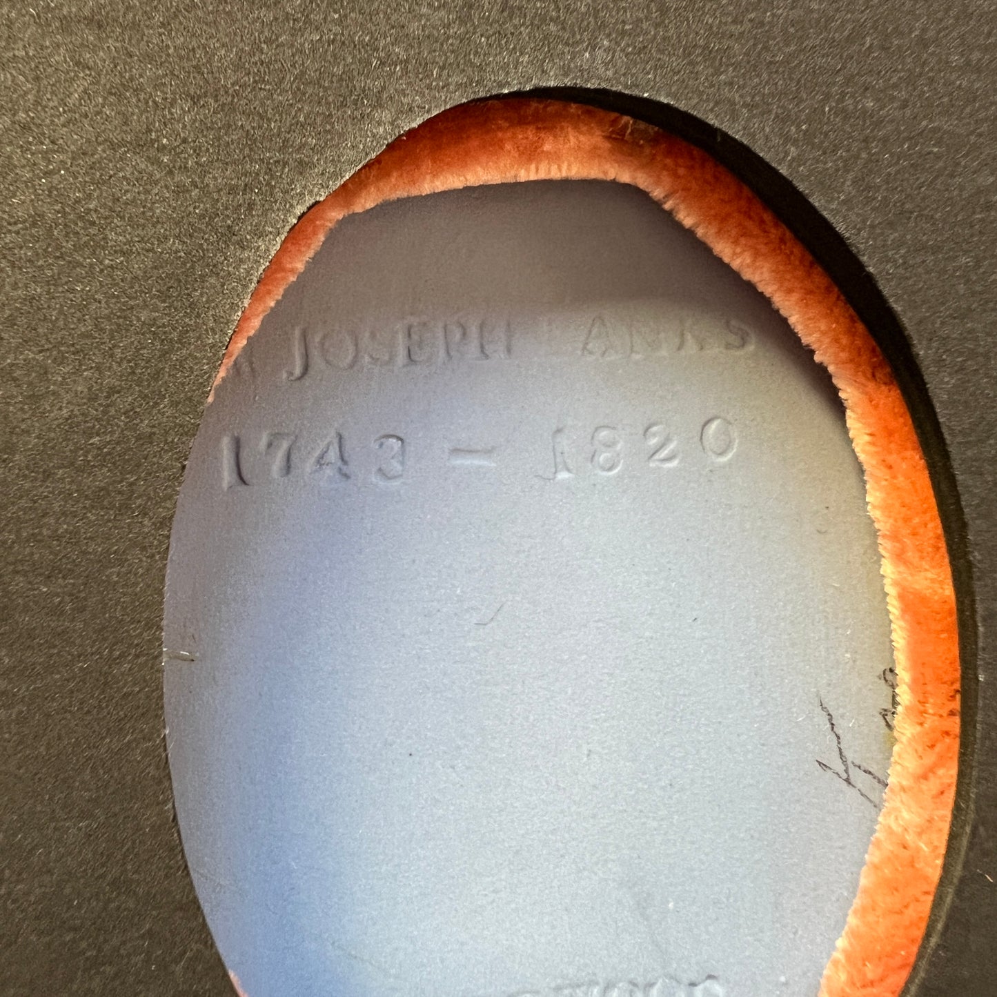 Wedgwood Jasperware Portrait Medallion of Sir Joseph Banks Mounted on Coral Velvet in Gold Frame