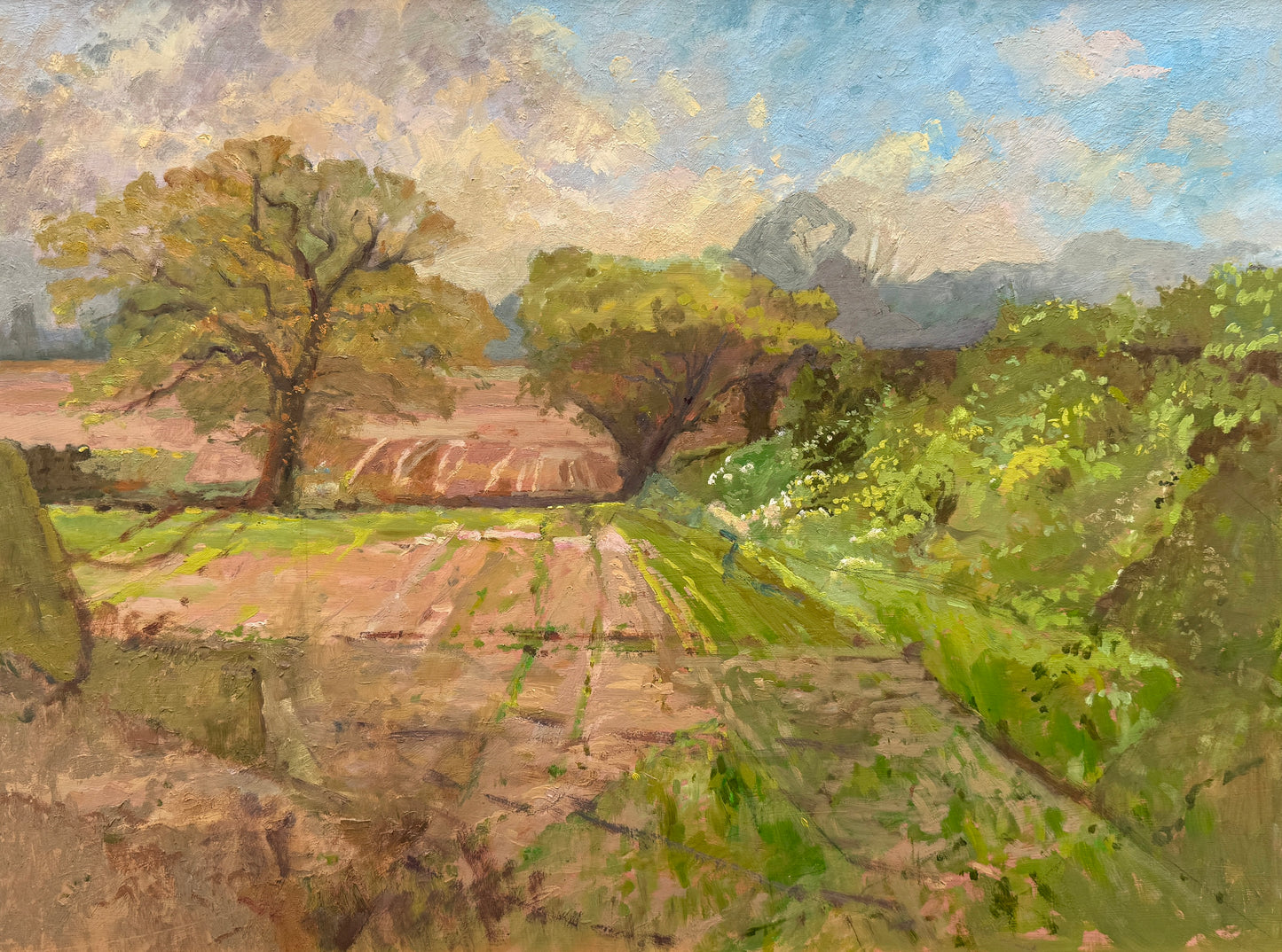 Vintage Impressionist Sunny Spring Farm Landscape Oil Painting in Gold Frame