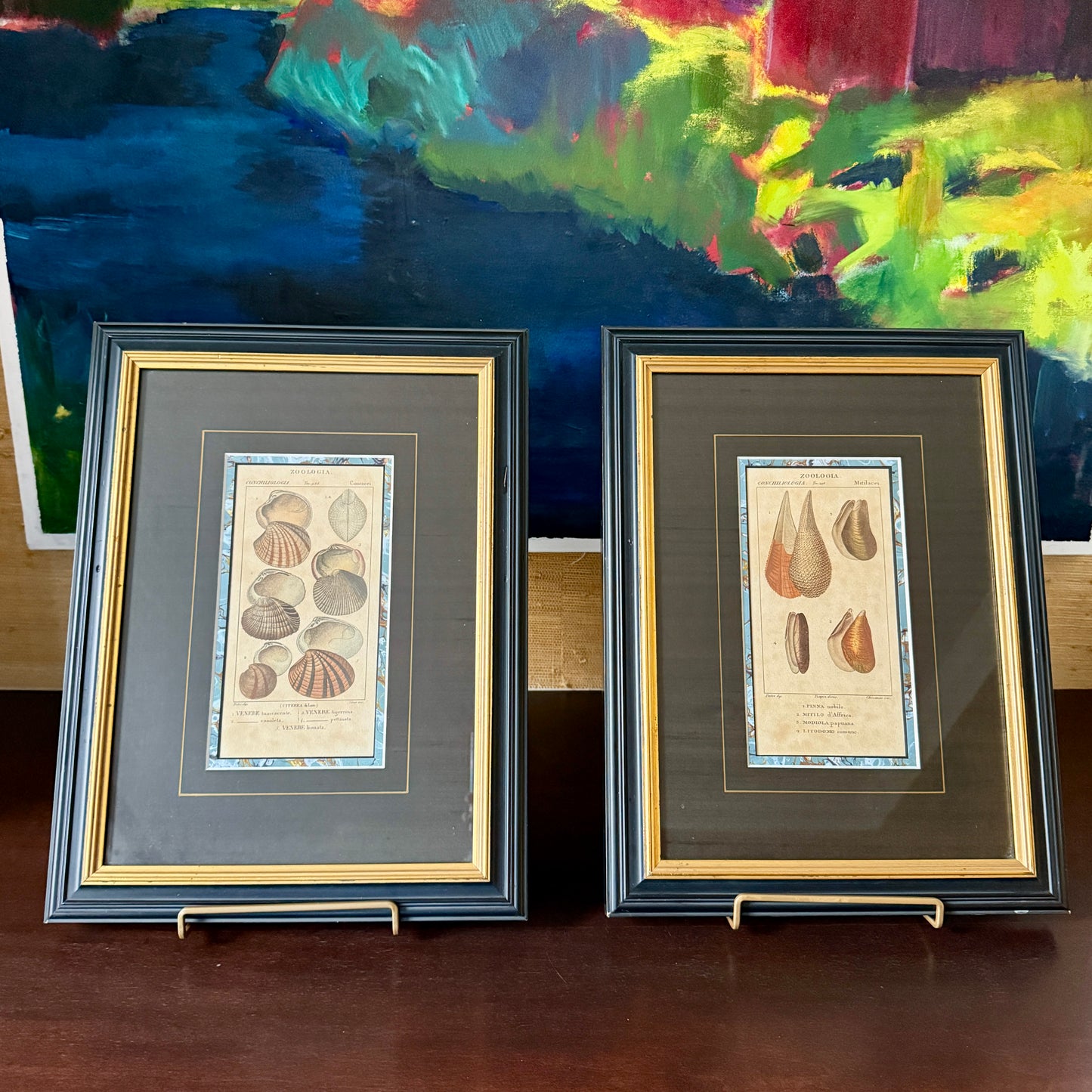 Pair of Pierre Turpin Hand Colored Seashell Lithographs in Black and Gold Frames