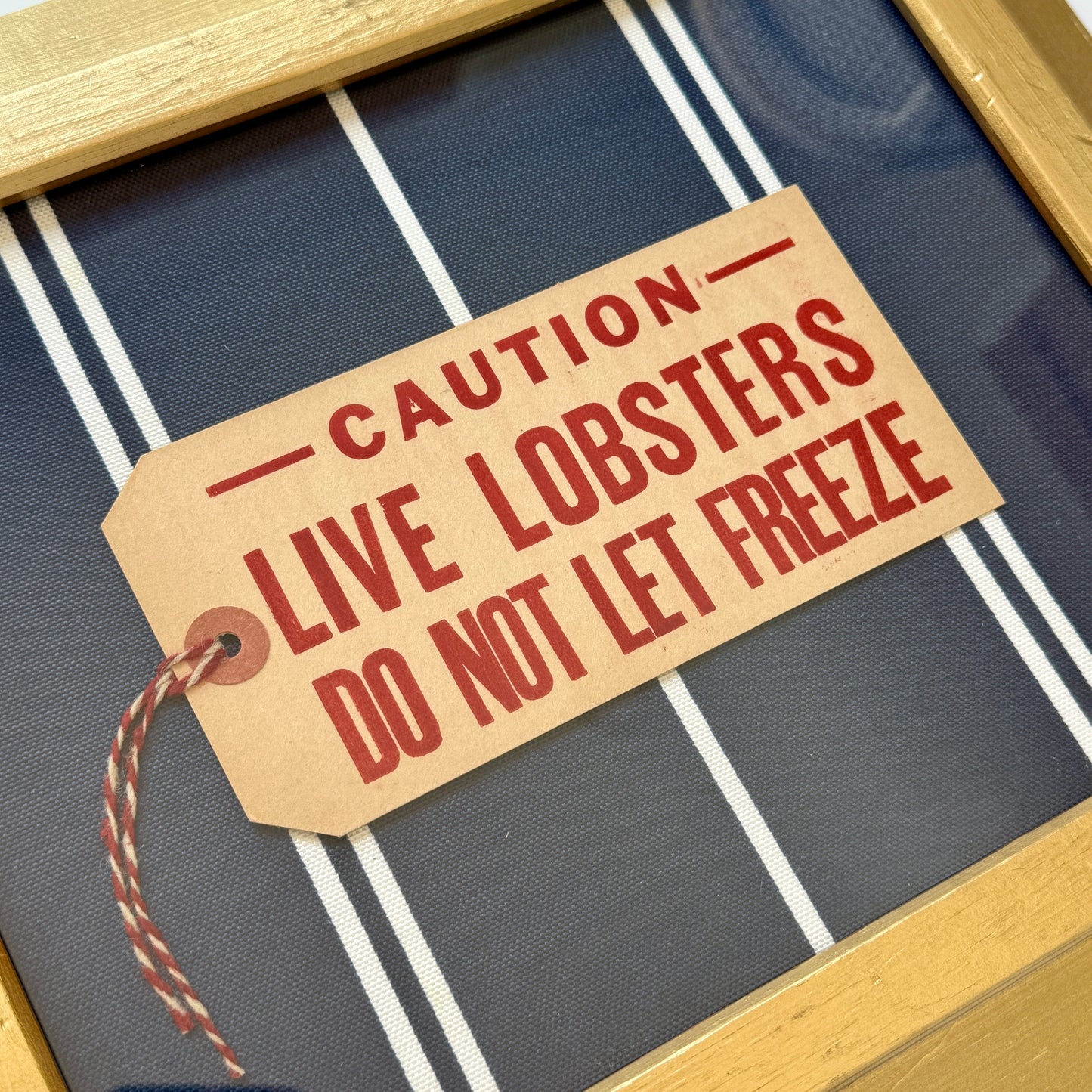 Vintage Maine Live Lobsters Tag on Navy White Striped Fabric in Gold Frame
