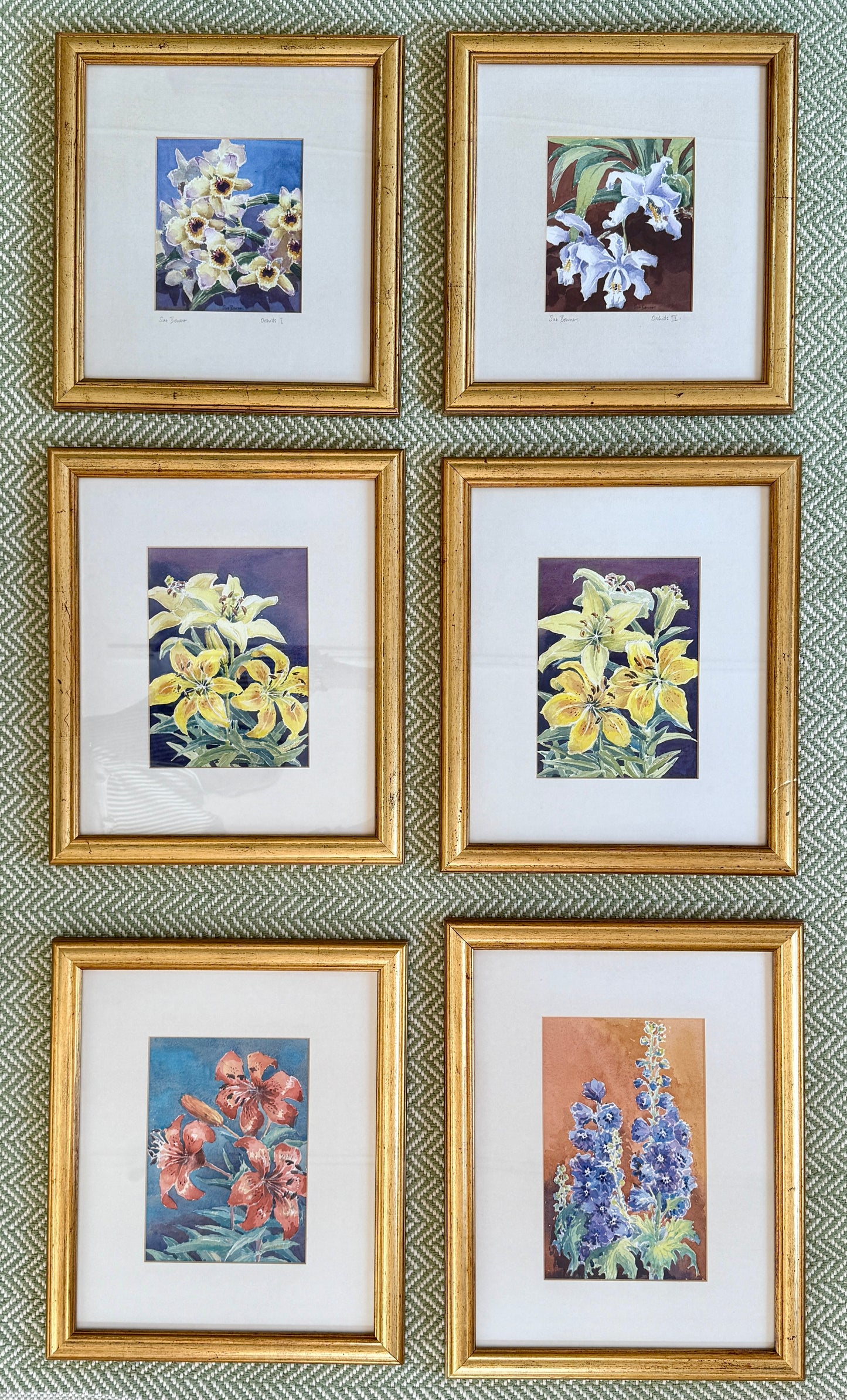 Susan Bourne Botanical Orchids I Watercolor Painting In Gold Frame