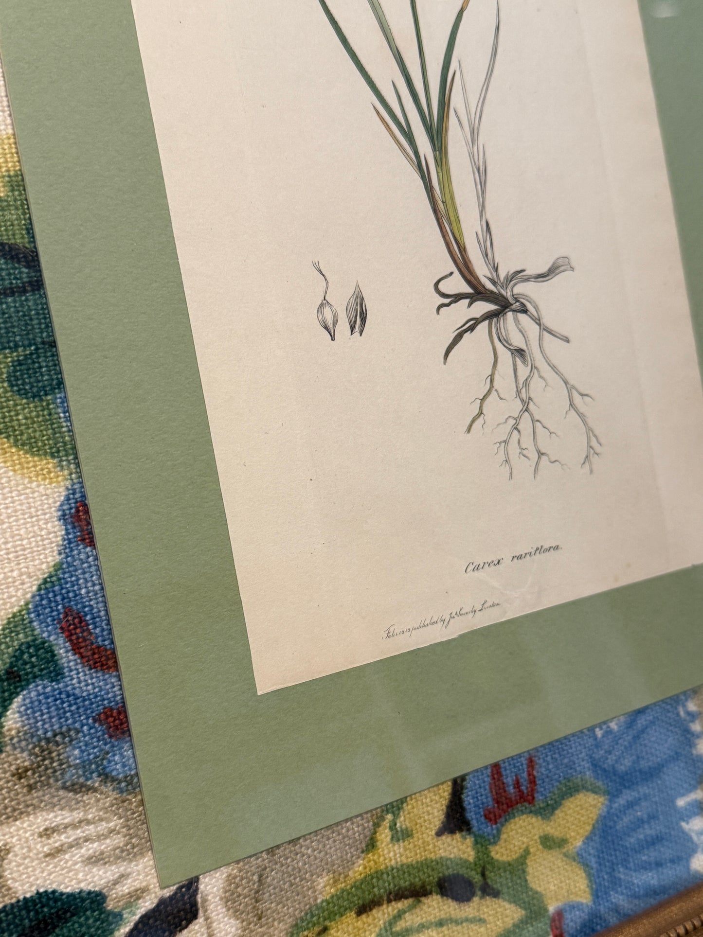 19th c. Botanical #3 in Lee Jofa Tara Floral Matting and Gold Frame