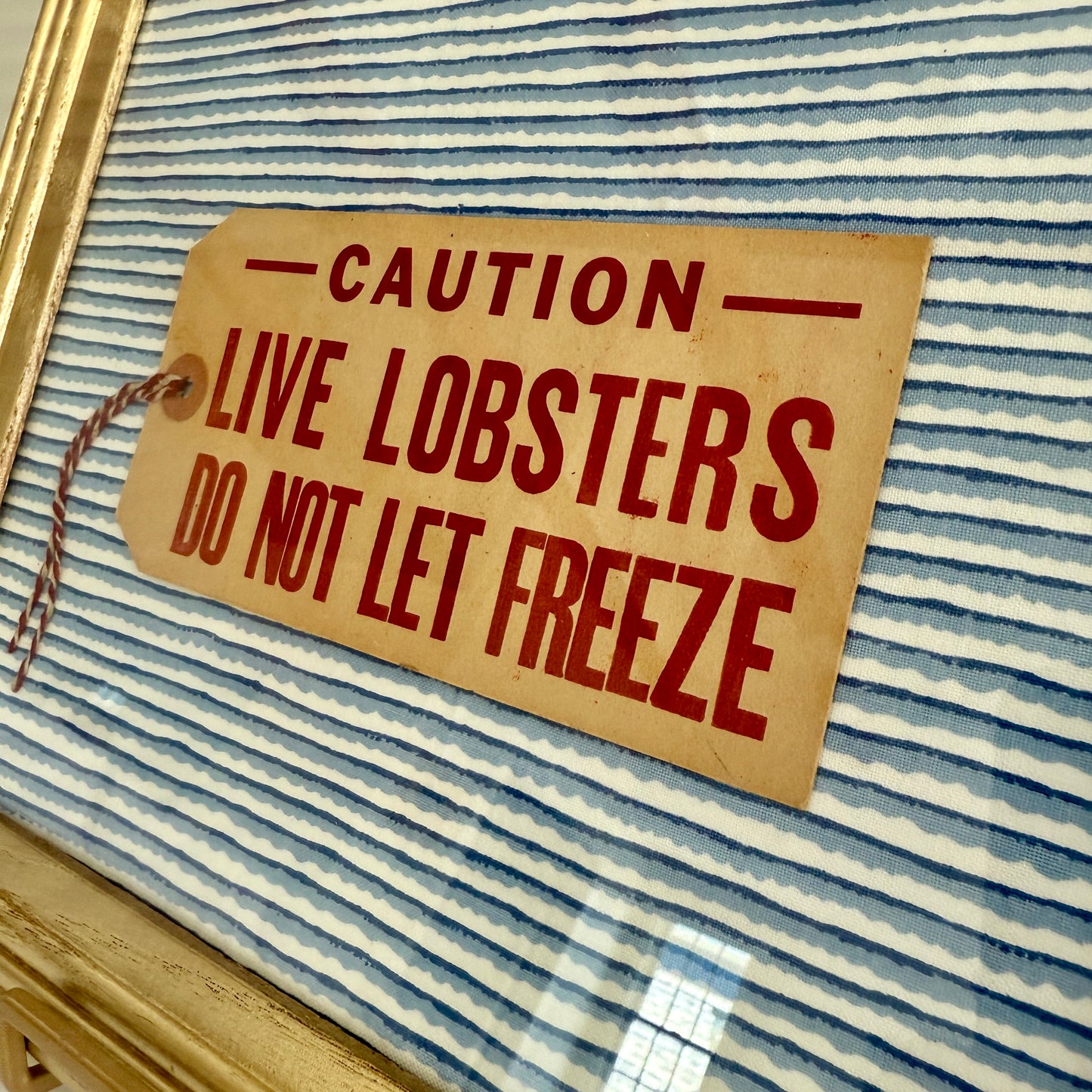 Vintage Maine Live Lobsters Tag on Blue Wavy Striped Fabric in Gold Frame