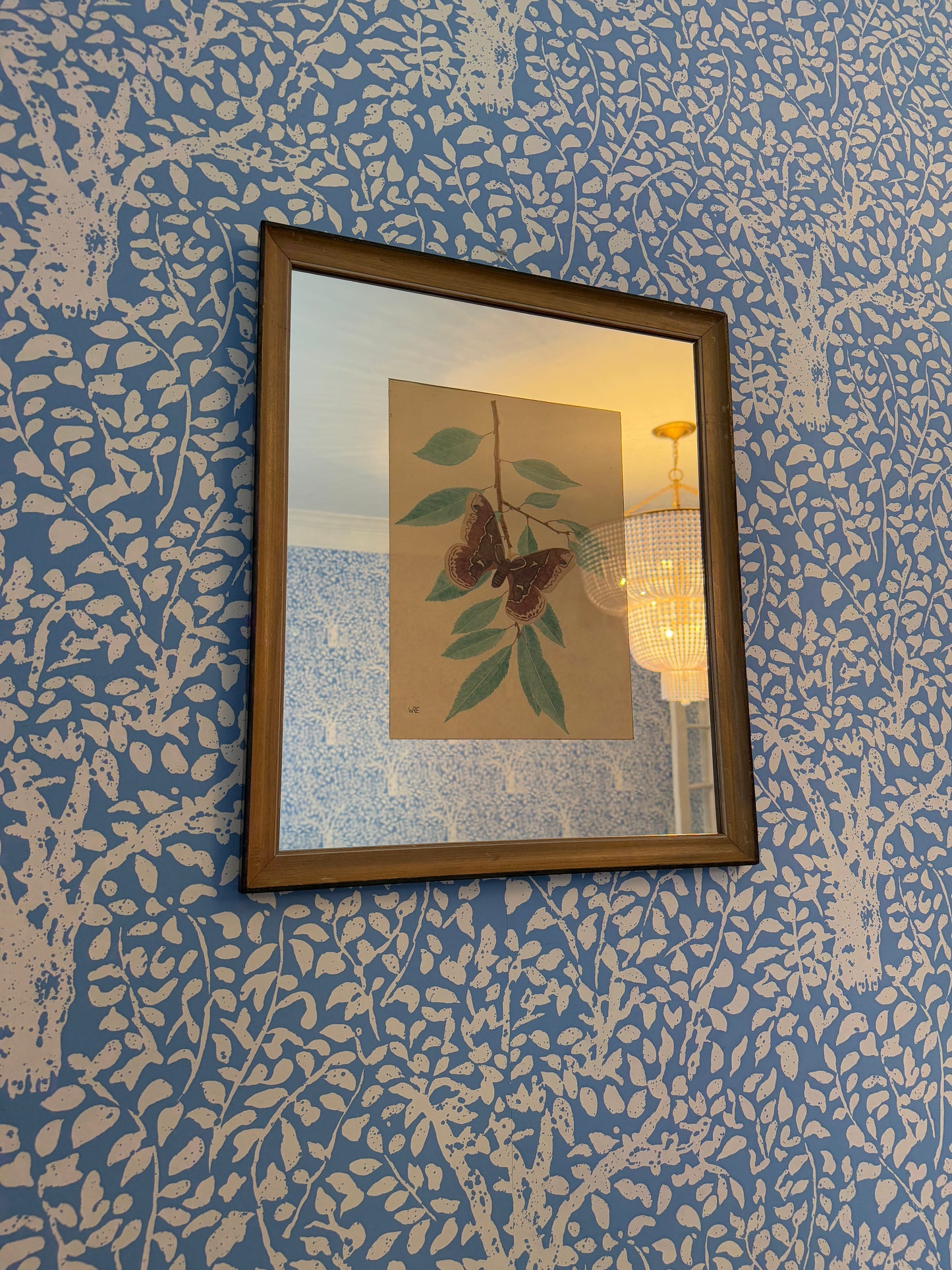 Early 20th Century Moth Folk Art Watercolor Painting in Mirrored Frame