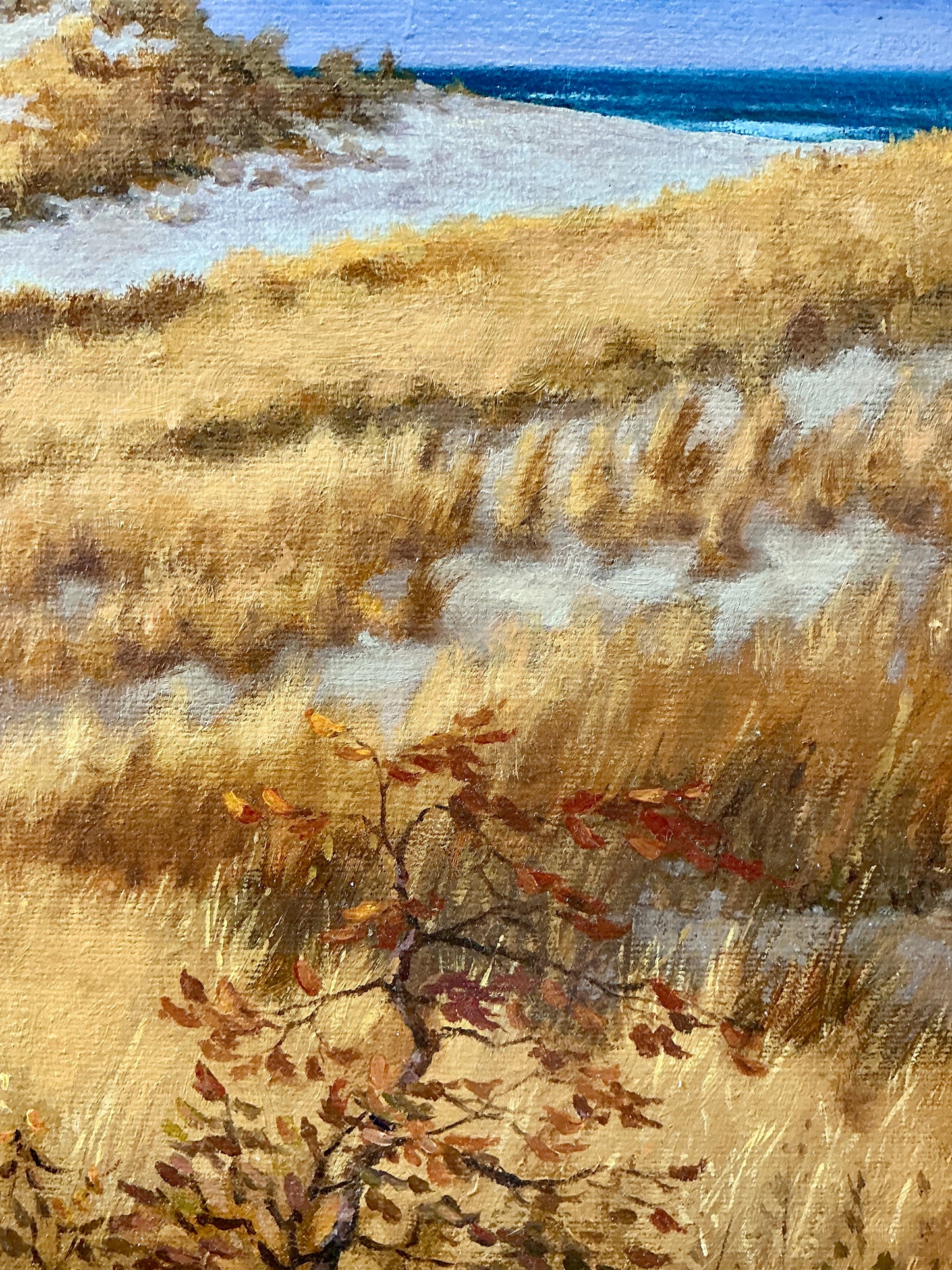 Anthony R. Thompson Evening In The Dunes Cape Poge East Beach Chappaquiddick Coastal Landscape Oil Painting in Gold Frame
