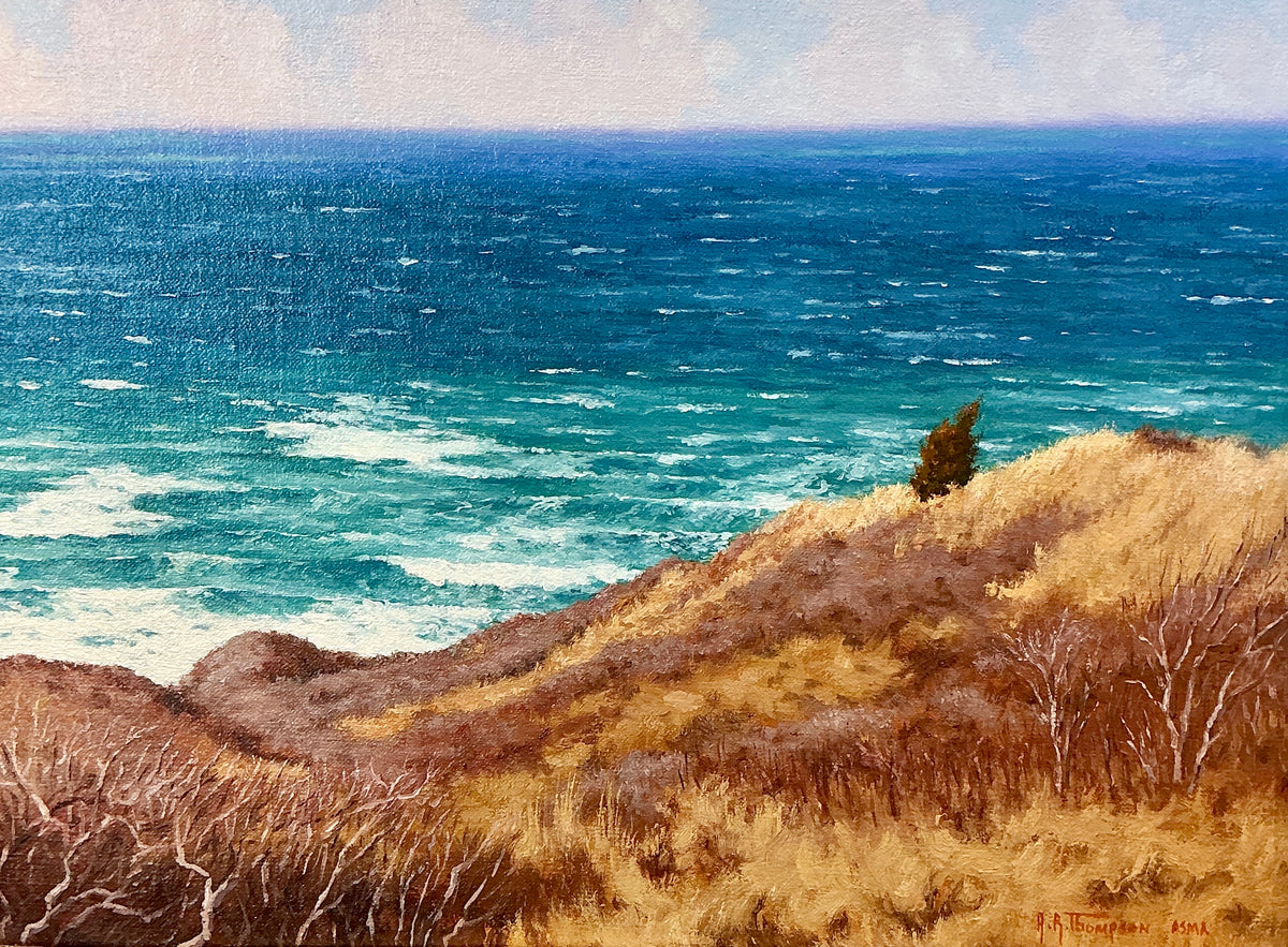 Anthony R. Thompson View From Aquinnah Martha's Vineyard Landscape Oil Painting in Gold Frame