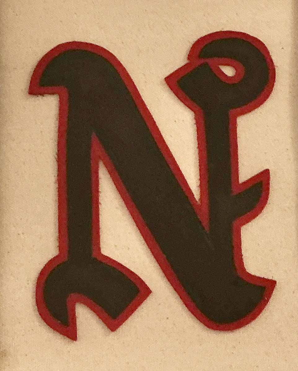 Vintage Varsity Letter Initial "N" on Ivory Duck Cloth in Gold Frame