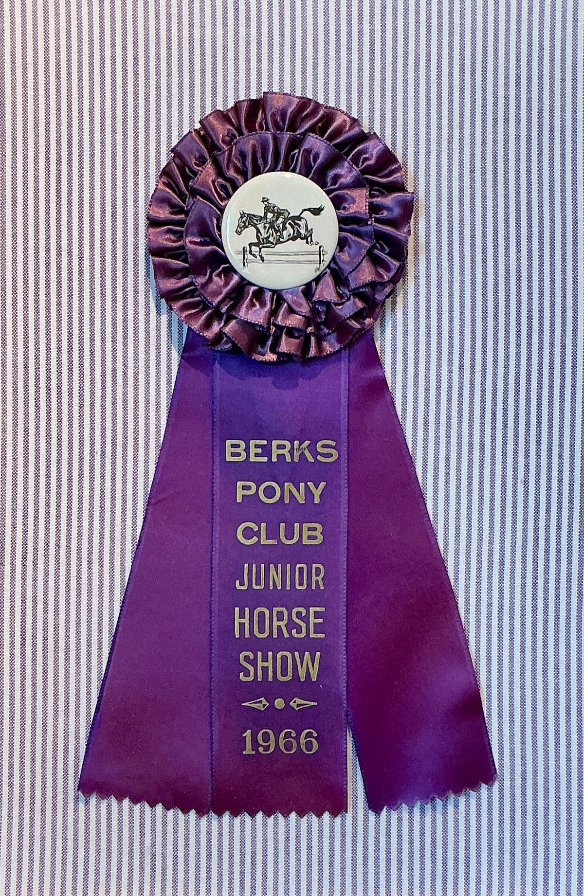 Vintage Berks Pony Club Horse Show Ribbon on Purple Stripes in Gold Frame