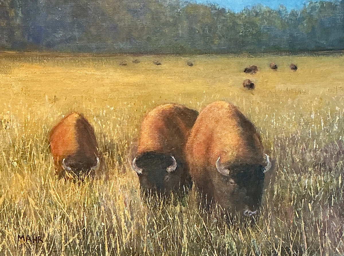 Vintage Buffalo American West Landscape Oil Painting in Bold Frame