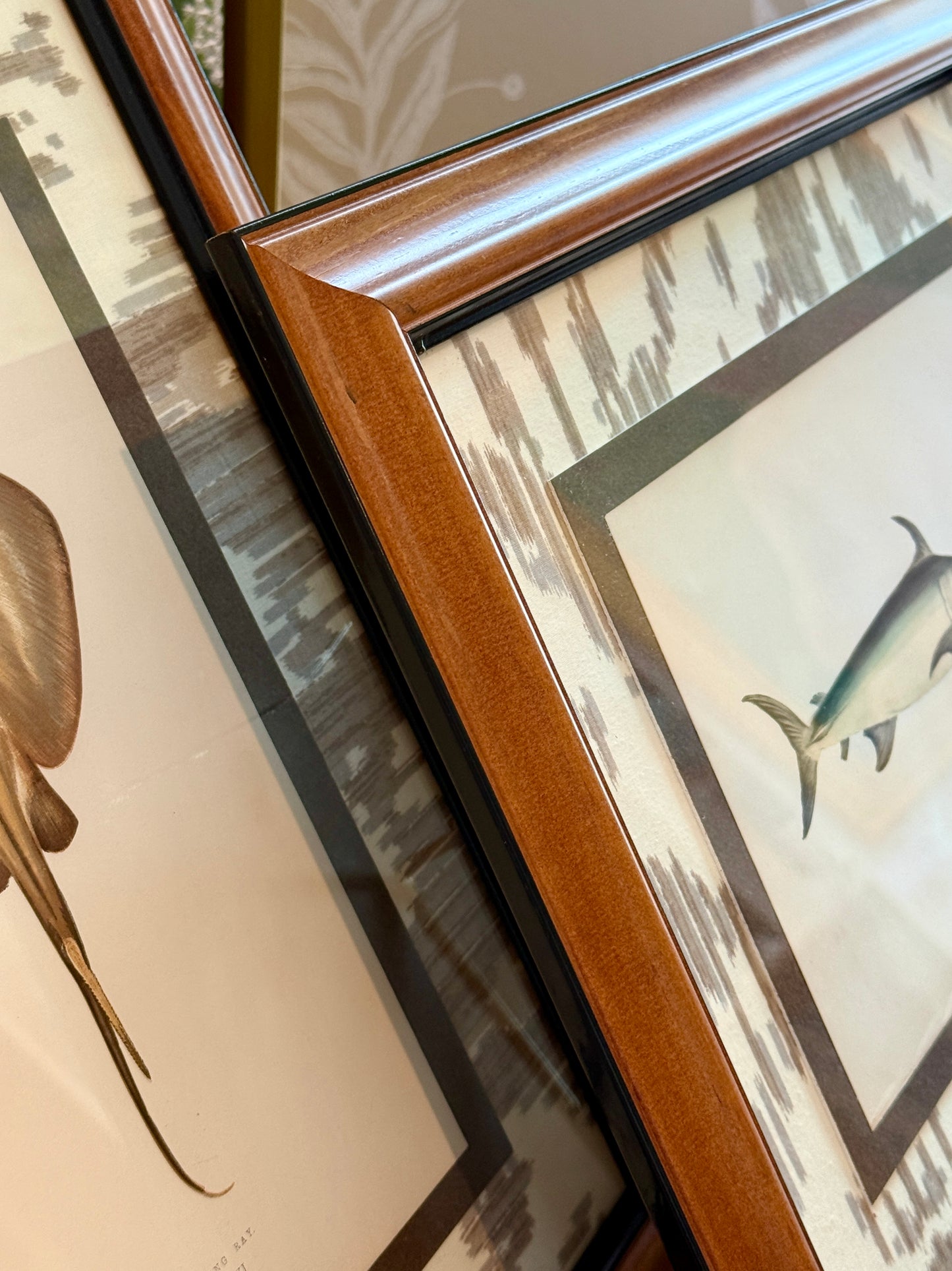 Set of Three 19th Century Shark, Fish and Ray Hand Colored Lithographs on Neutral Ikat Fabric in Wood Frame