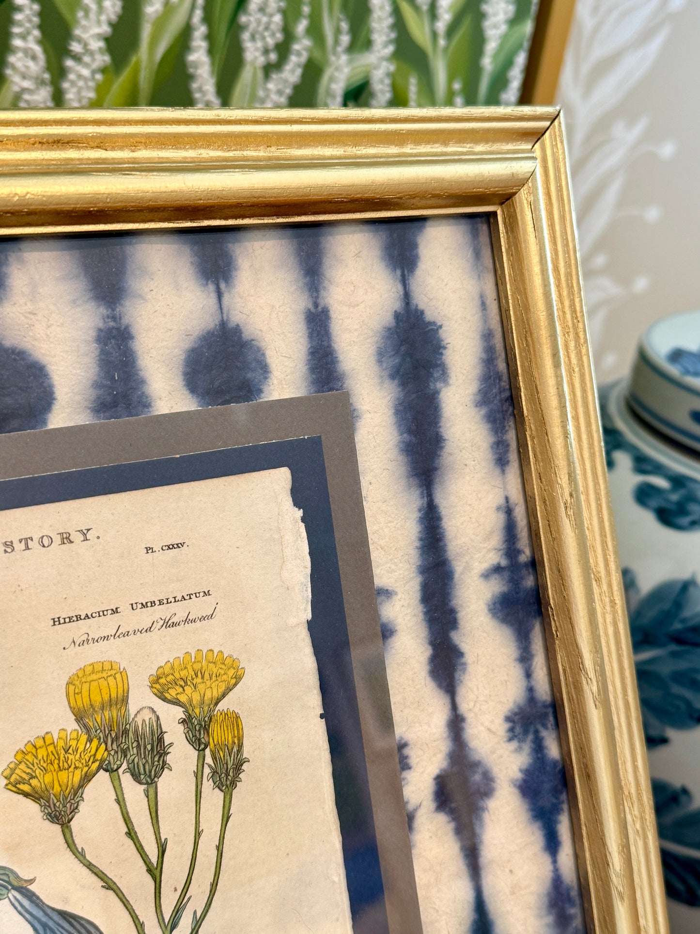 Antique Hand Colored Botanical Engraving on Navy Shibori Hand Made Paper in Gold Frame
