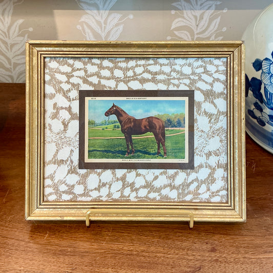 Vintage Man O' War Wonder Horse Kentucky Postcard on Vintage Fabric in Gold Frame
