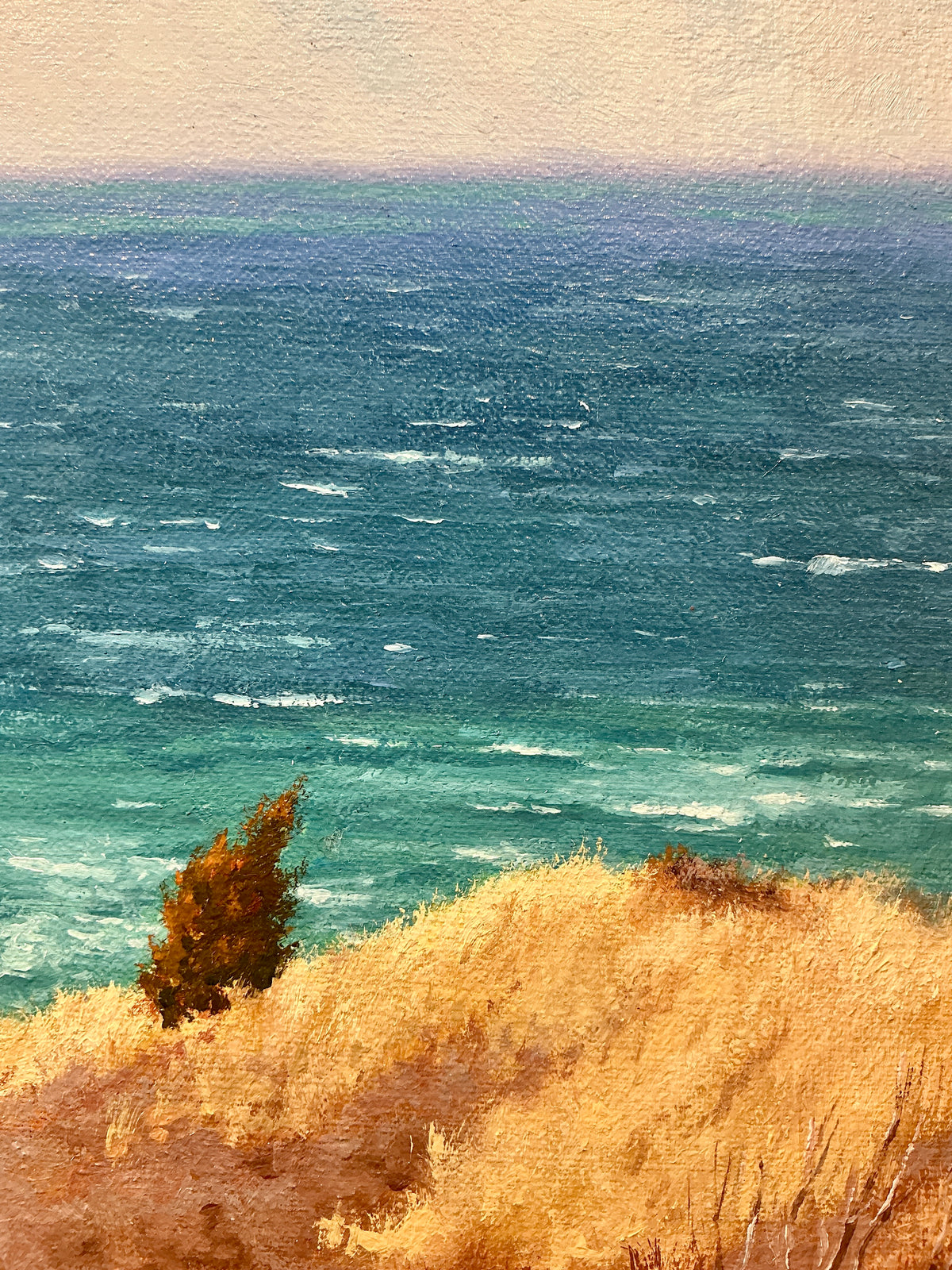 Anthony R. Thompson View From Aquinnah Martha's Vineyard Landscape Oil Painting in Gold Frame