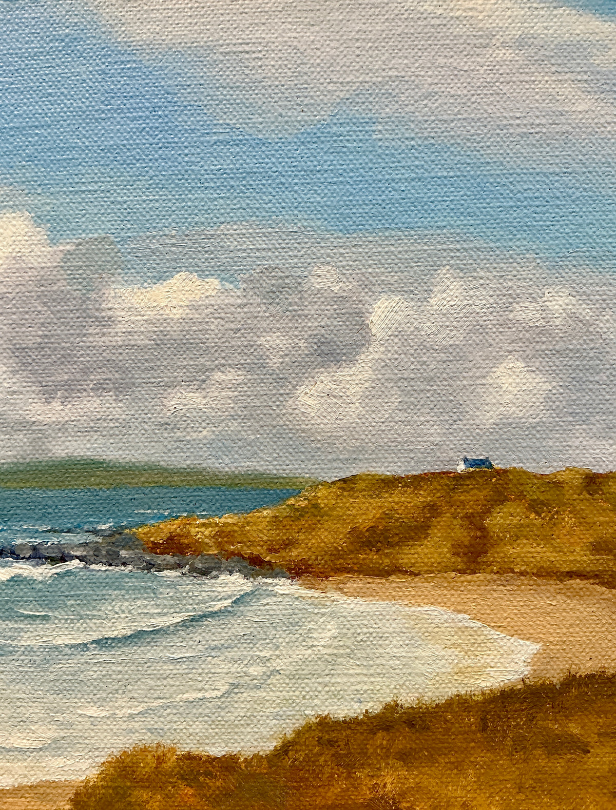 Anthony R. Thompson Cottages By The Burren Fanore Ireland Coastal Landscape Oil Painting in Gold Frame