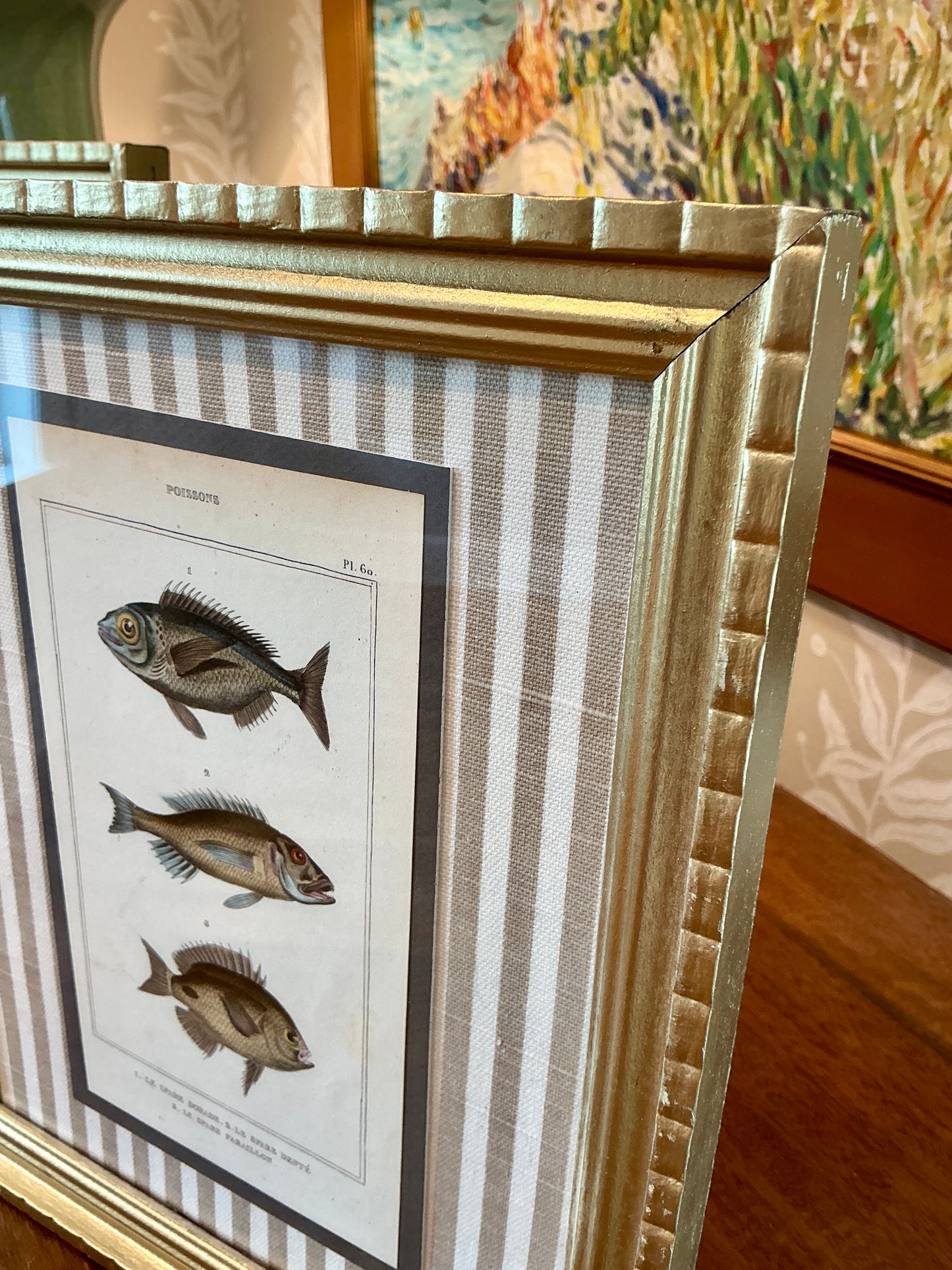 Pair of 19th Century Hand Colored French Fish Lithographs on Taupe Stripes in Gold Frames - Set B