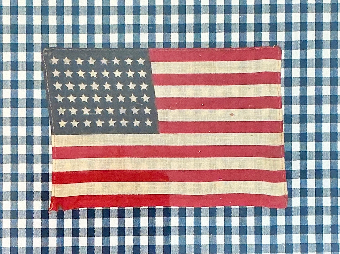 Vintage 48 Star American Flag on Navy Gingham in Antique Adirondack Stick Frame