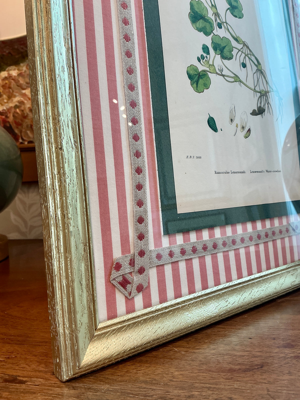19th Century Hand Colored Botanical Lithograph on Pink Stripes in Gold Frame