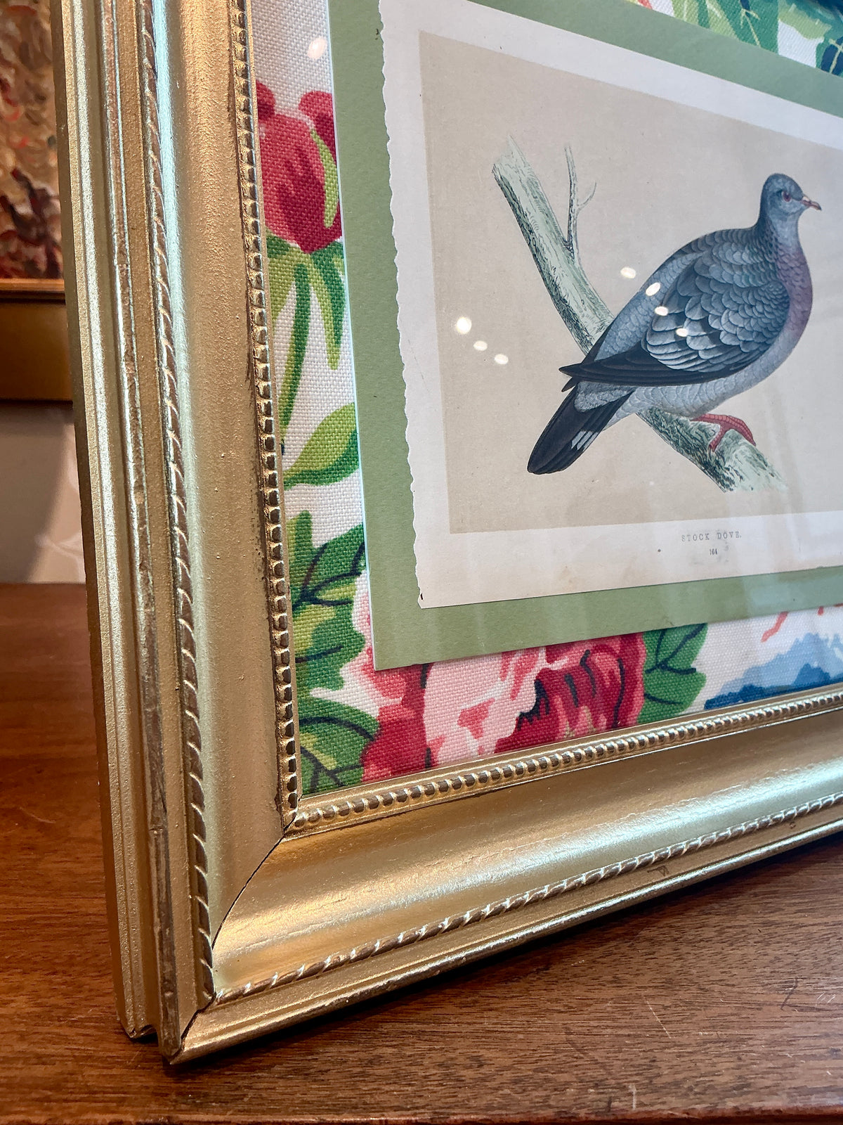 19th Century Stock Dove Engraving on Scalamandre Shantung Garden Fabric in Gold Frame