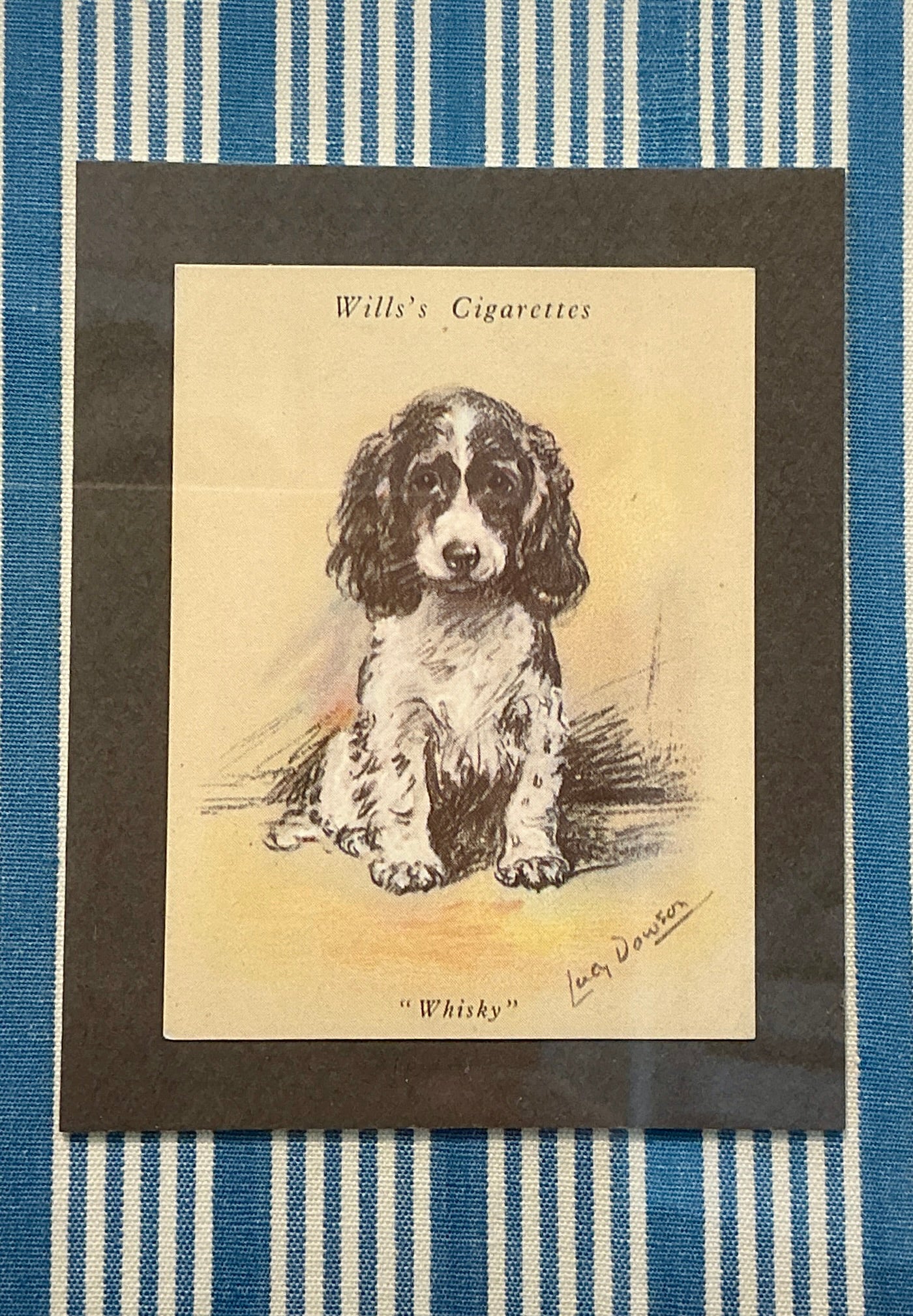 Set of 3 1930s Tobacco Cards With Dogs on Blue Ticking Stripes in Gold Frames