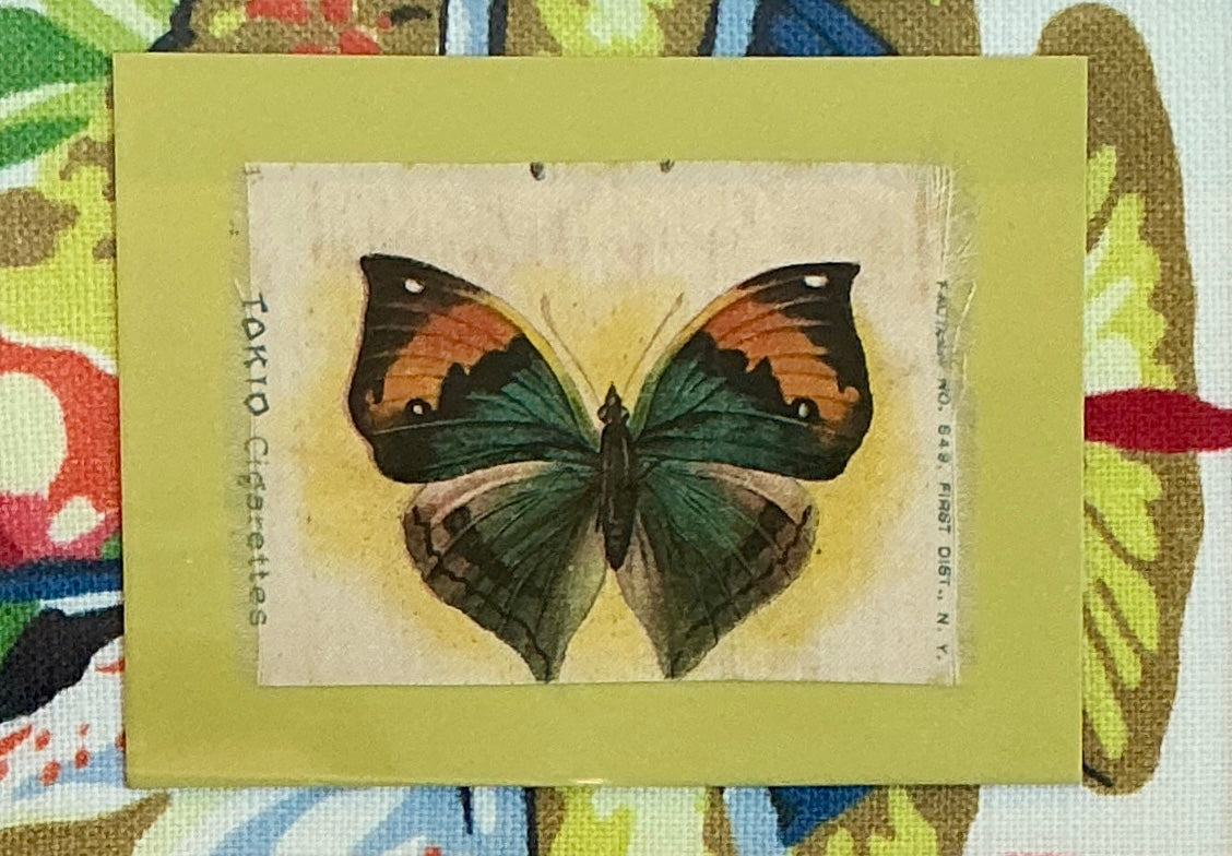 Pair of Antique Butterfly Tobacco Silks on Scalamandre Fabric in Gold Frames
