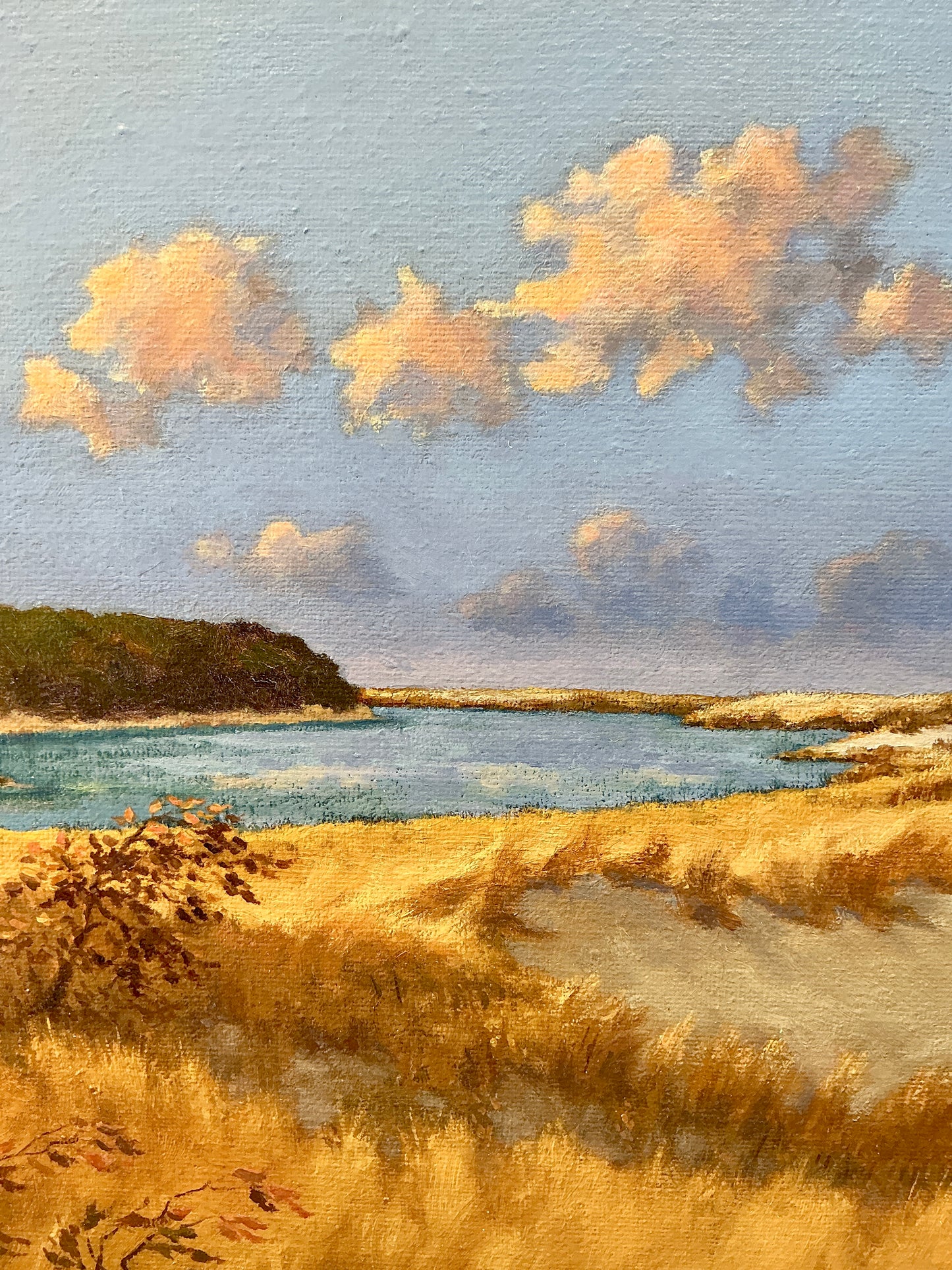Anthony R. Thompson Evening In The Dunes Cape Poge East Beach Chappaquiddick Coastal Landscape Oil Painting in Gold Frame