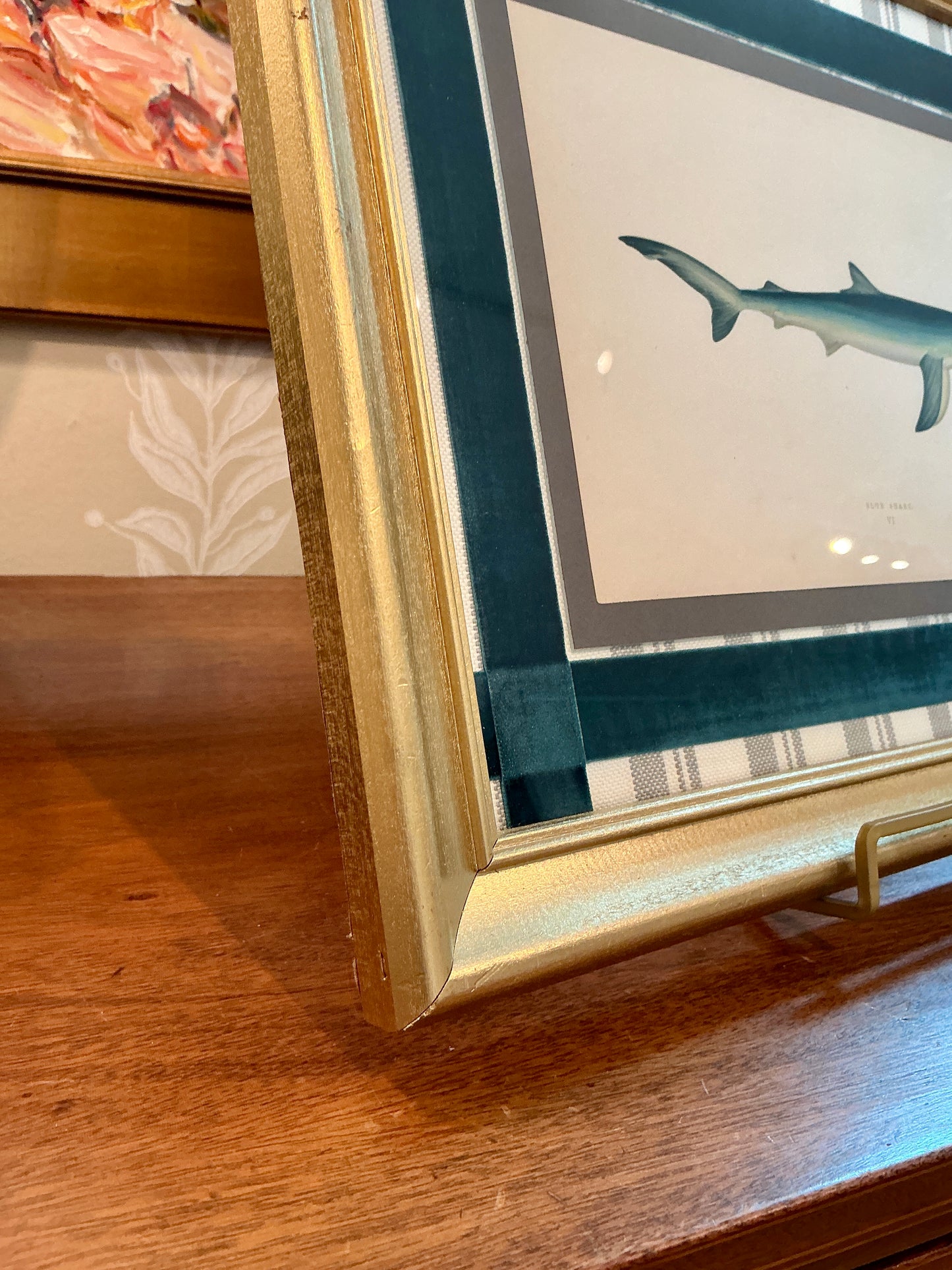 19th Century Hand Colored Blue Shark Lithograph on Miles Reed Schumacher Fabric in Gold Frame