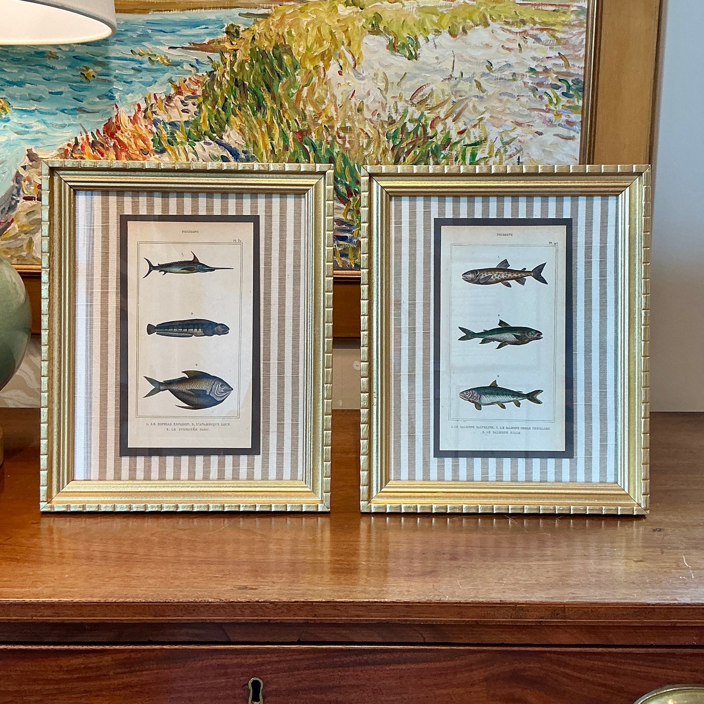 Pair of 19th Century Hand Colored French Fish Lithographs on Taupe Stripes in Gold Frames - Set A