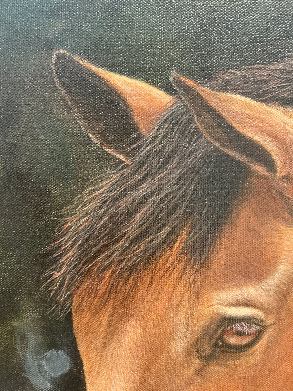 Andrea Hennings Denver Horse Portrait Painting in Gold Floater Frame