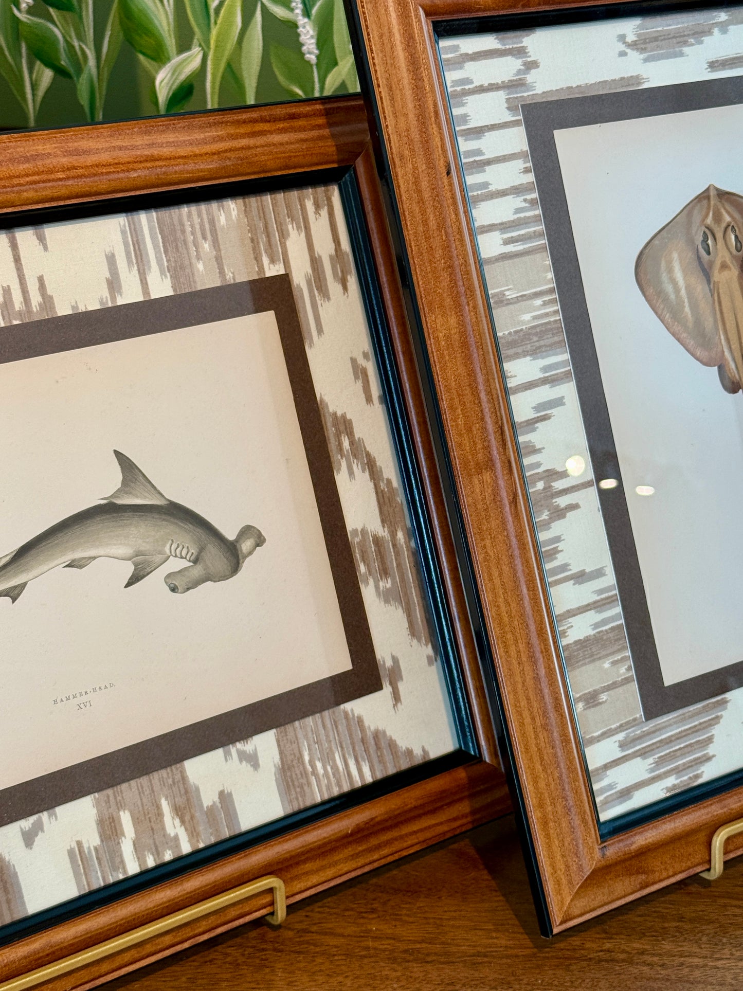 Set of Three 19th Century Shark, Fish and Ray Hand Colored Lithographs on Neutral Ikat Fabric in Wood Frame