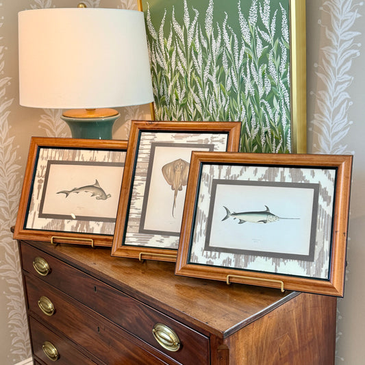 Set of Three 19th Century Shark, Fish and Ray Hand Colored Lithographs on Neutral Ikat Fabric in Wood Frame