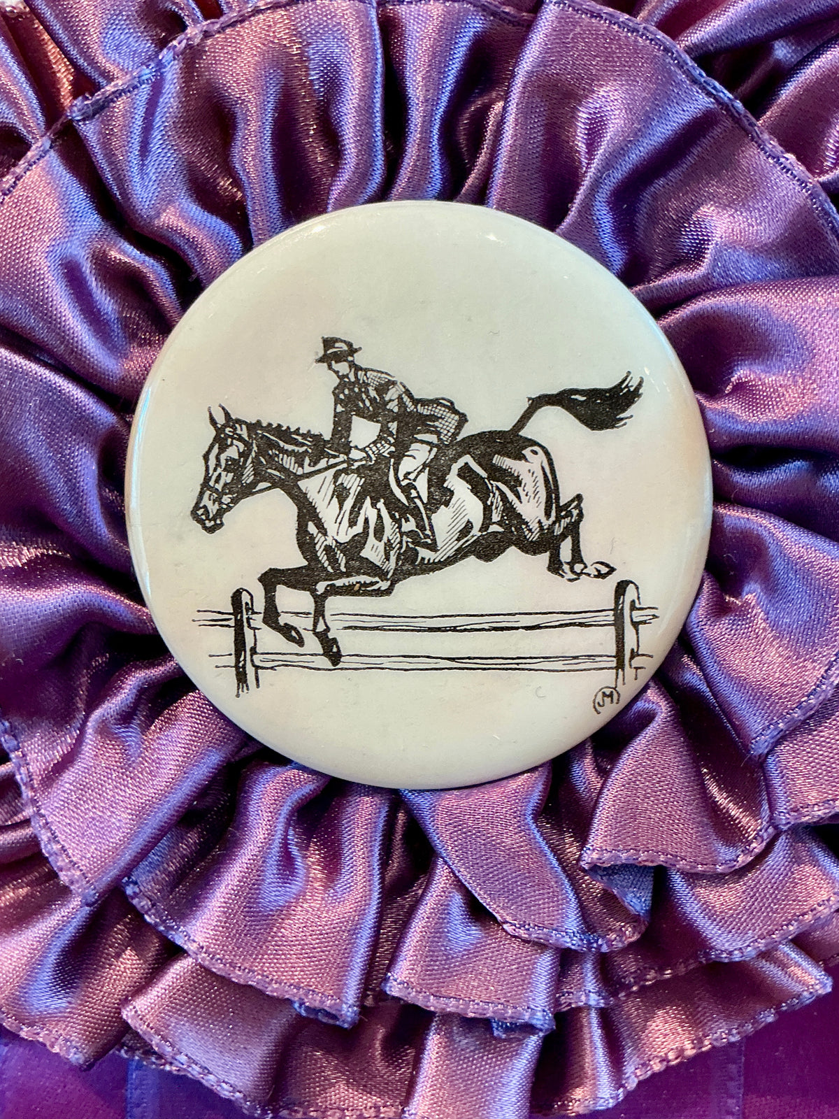 Vintage Berks Pony Club Horse Show Ribbon on Purple Stripes in Gold Frame