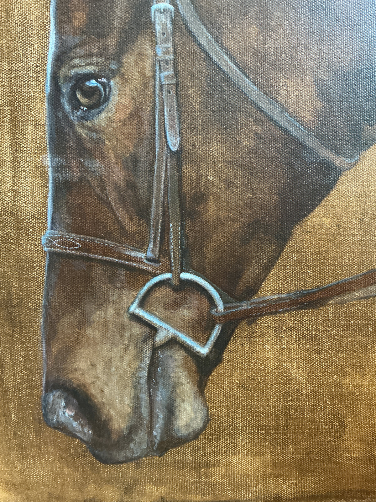 Andrea Hennings Velvet Horse Portrait Painting in Wood Floater Frame