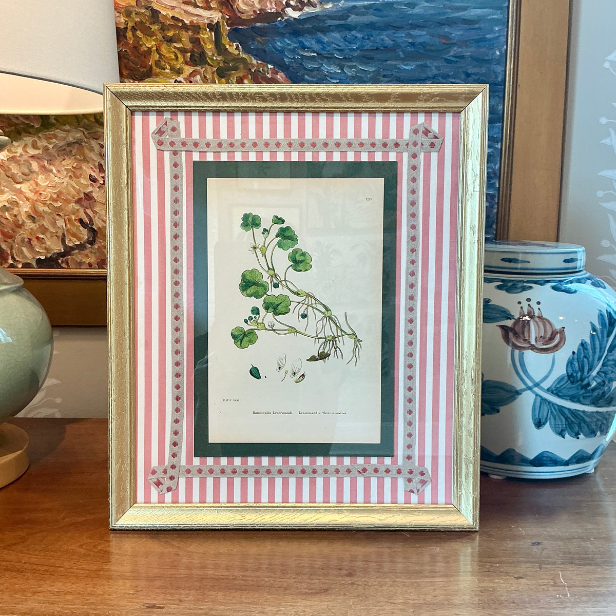 19th Century Hand Colored Botanical Lithograph on Pink Stripes in Gold Frame