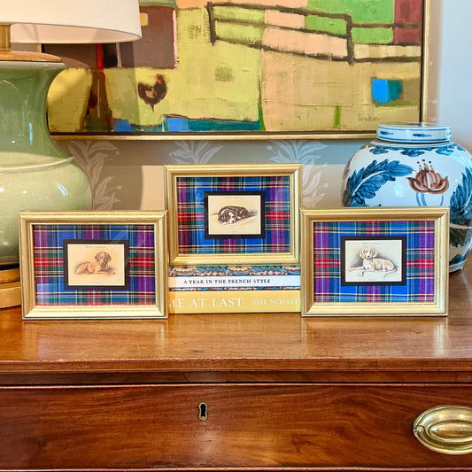 Set of 3 1930s Tobacco Cards With Dogs on Plaid in Gold Frame