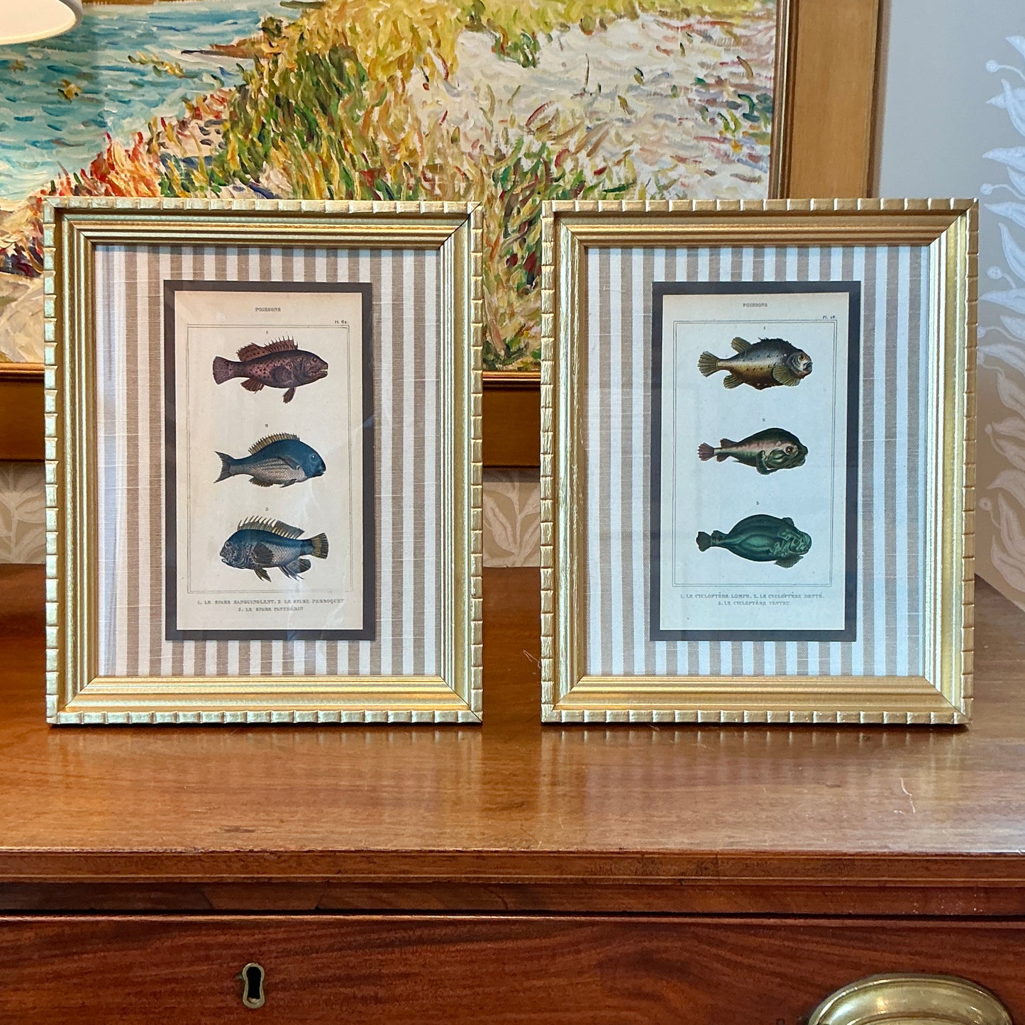 Pair of 19th Century Hand Colored French Fish Lithographs on Taupe Stripes in Gold Frames - Set C
