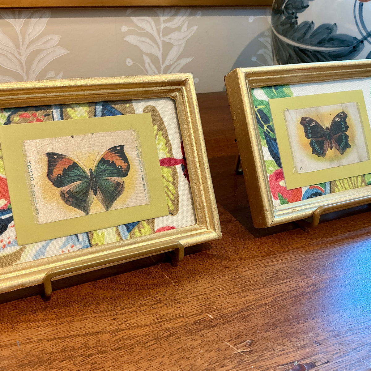 Pair of Antique Butterfly Tobacco Silks on Scalamandre Fabric in Gold Frames