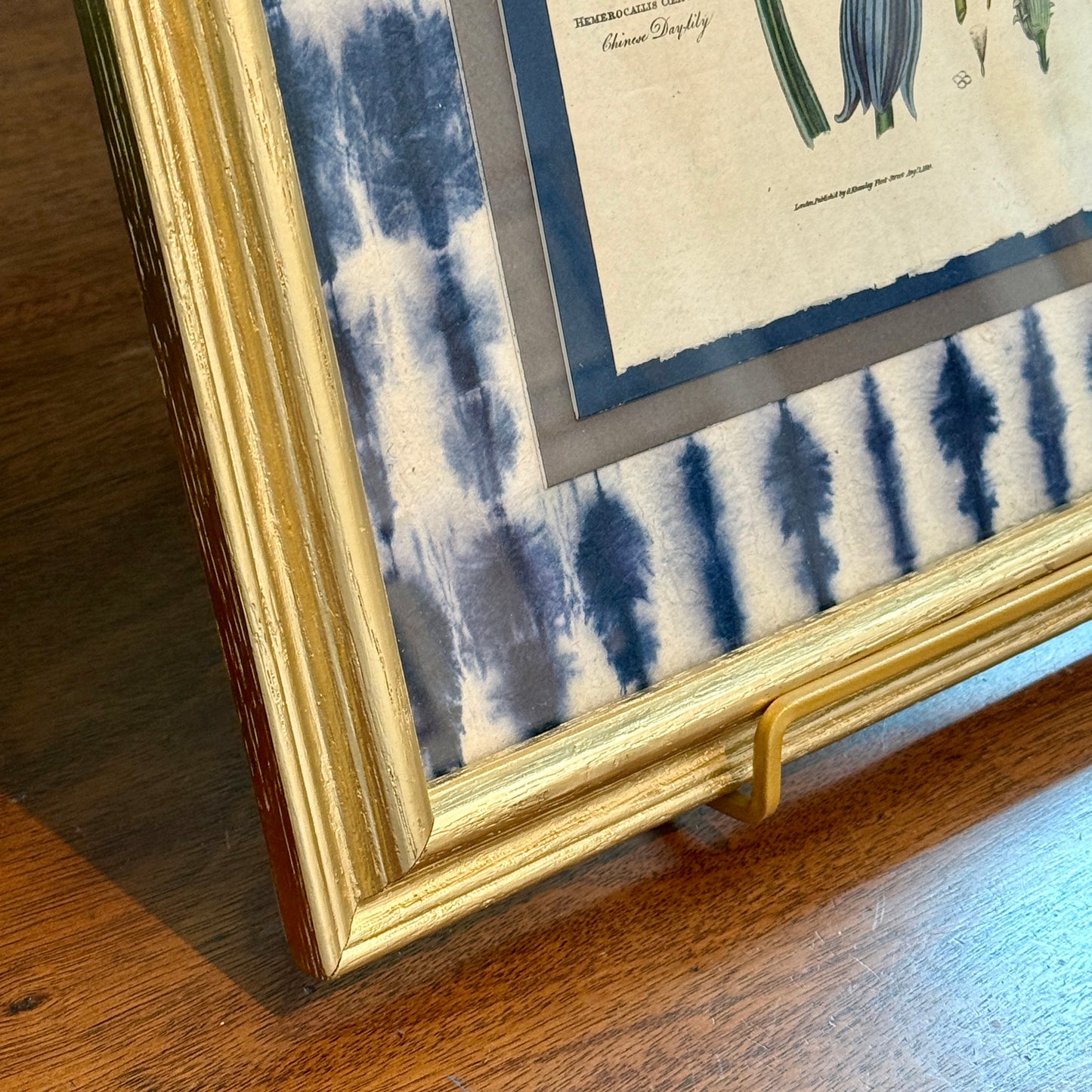 Antique Hand Colored Botanical Engraving on Navy Shibori Hand Made Paper in Gold Frame