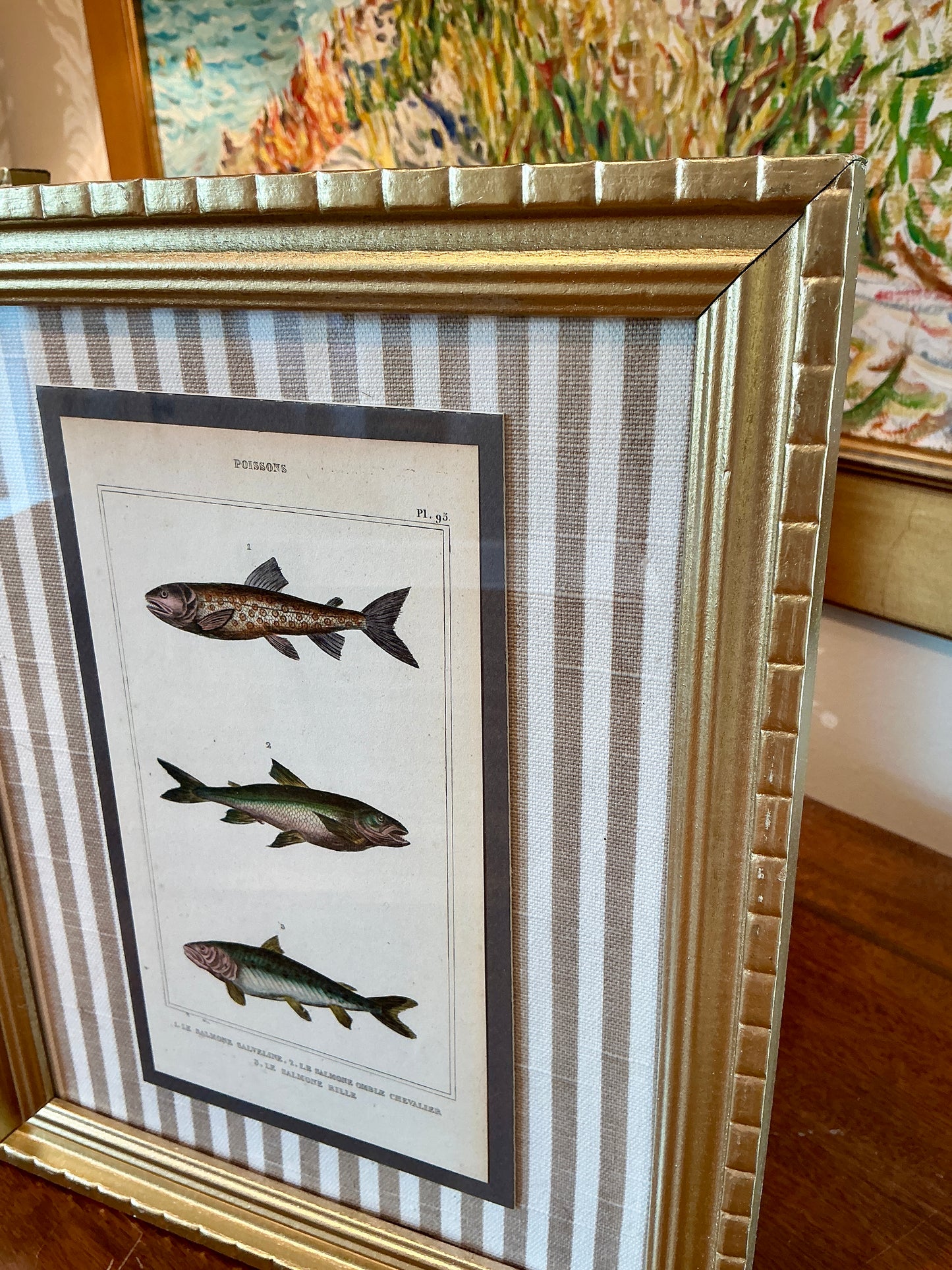 Pair of 19th Century Hand Colored French Fish Lithographs on Taupe Stripes in Gold Frames - Set A