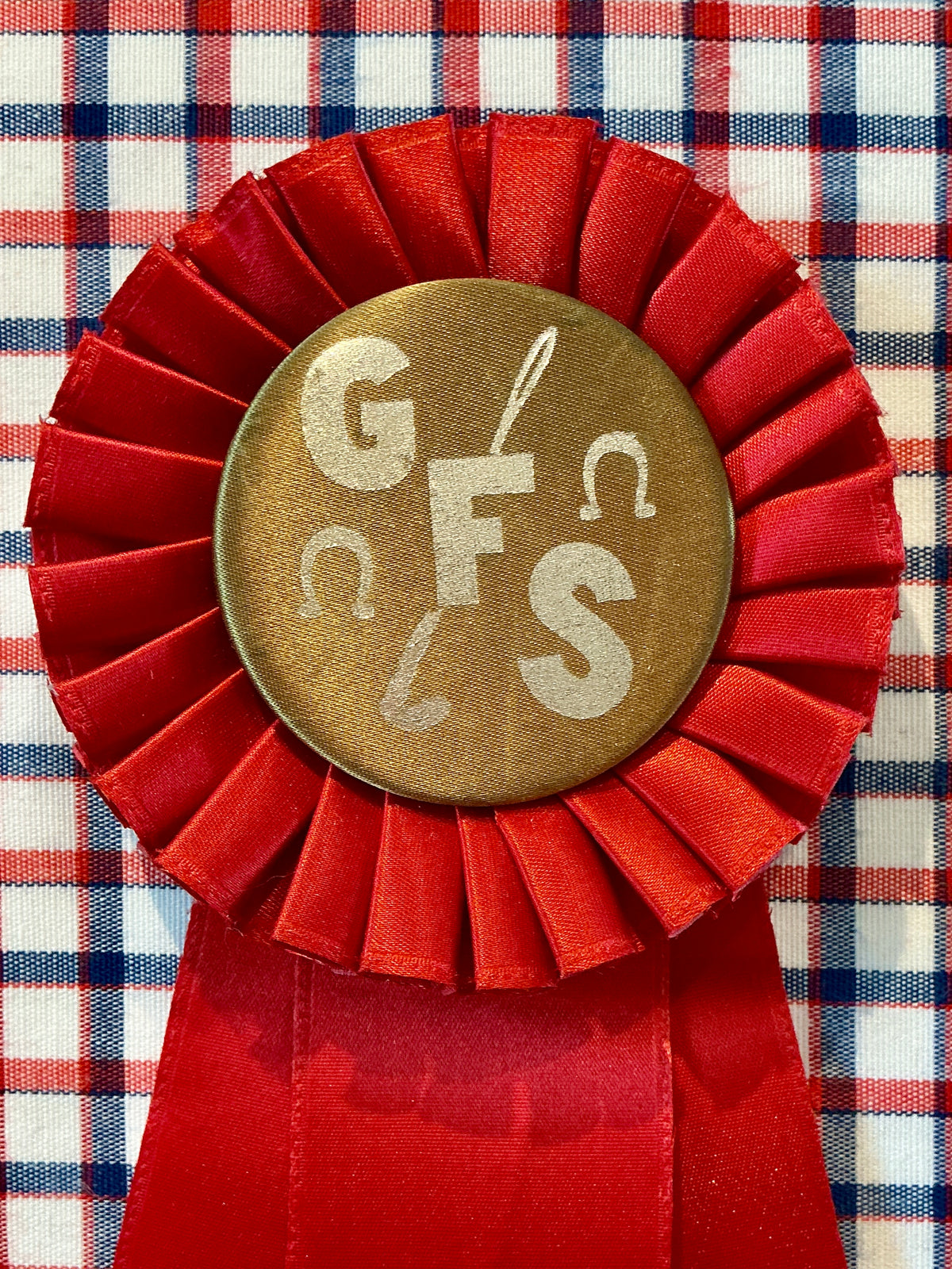 Vintage Garrison Forest School Horse Show Ribbon on Plaid in Gold Frame