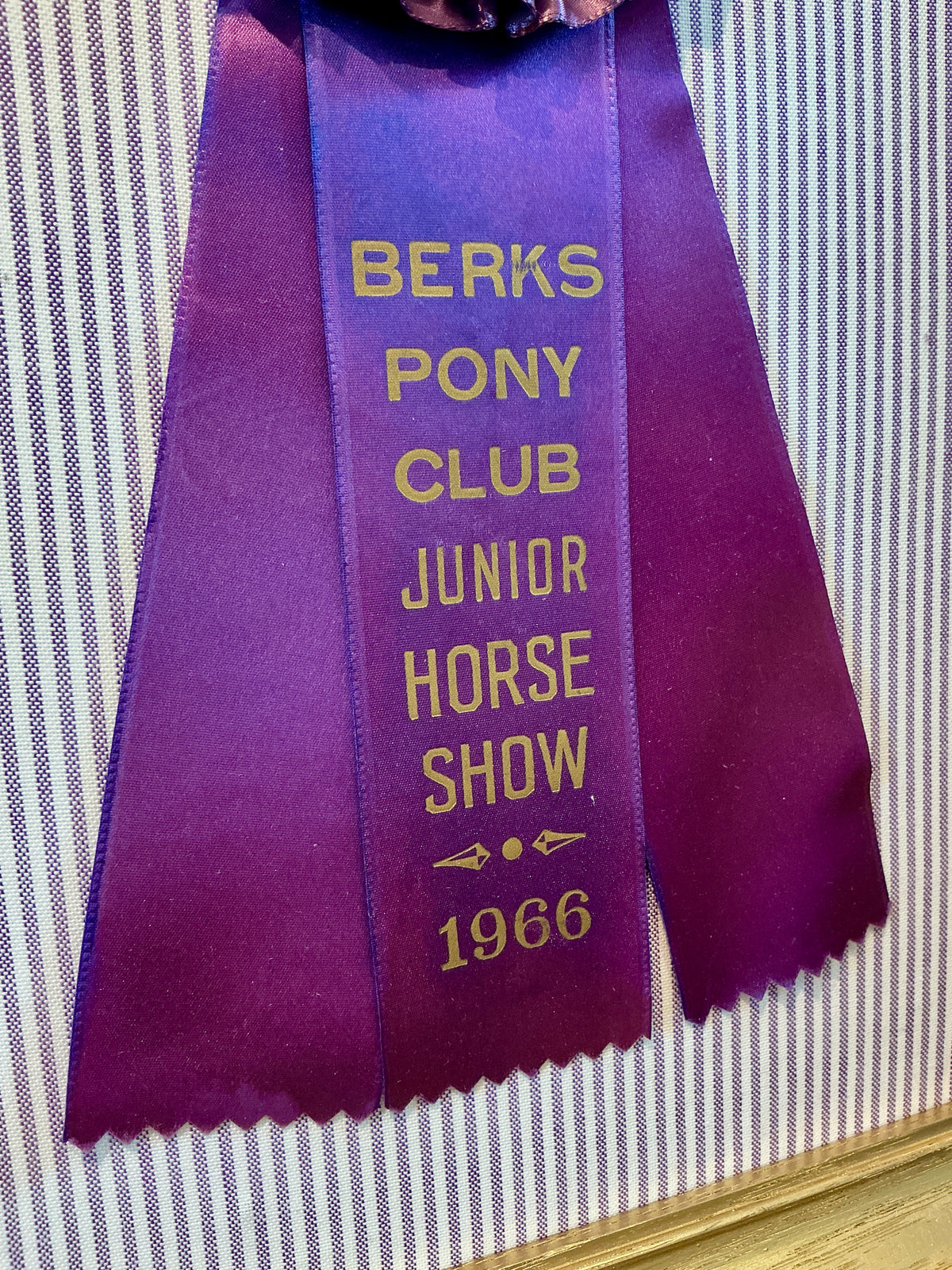 Vintage Berks Pony Club Horse Show Ribbon on Purple Stripes in Gold Frame