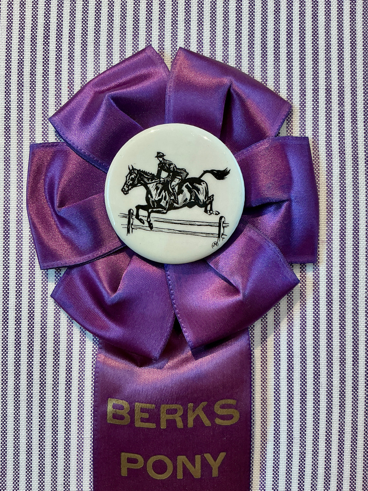 Vintage Berks Pony Club Spring Horse Show Ribbon on Purple Stripes in Gold Frame
